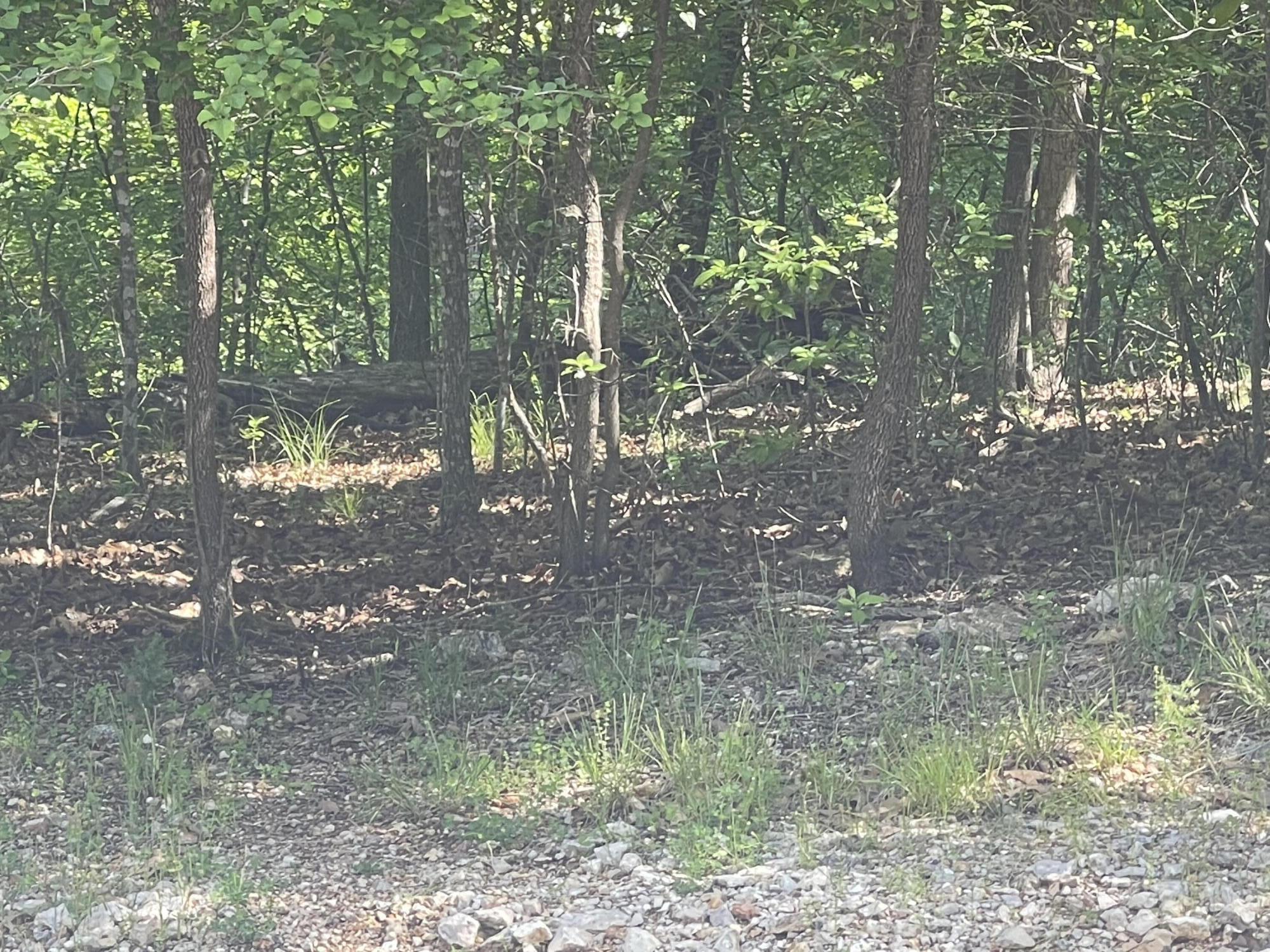 Lot 652 Clover Point Property Photo 9