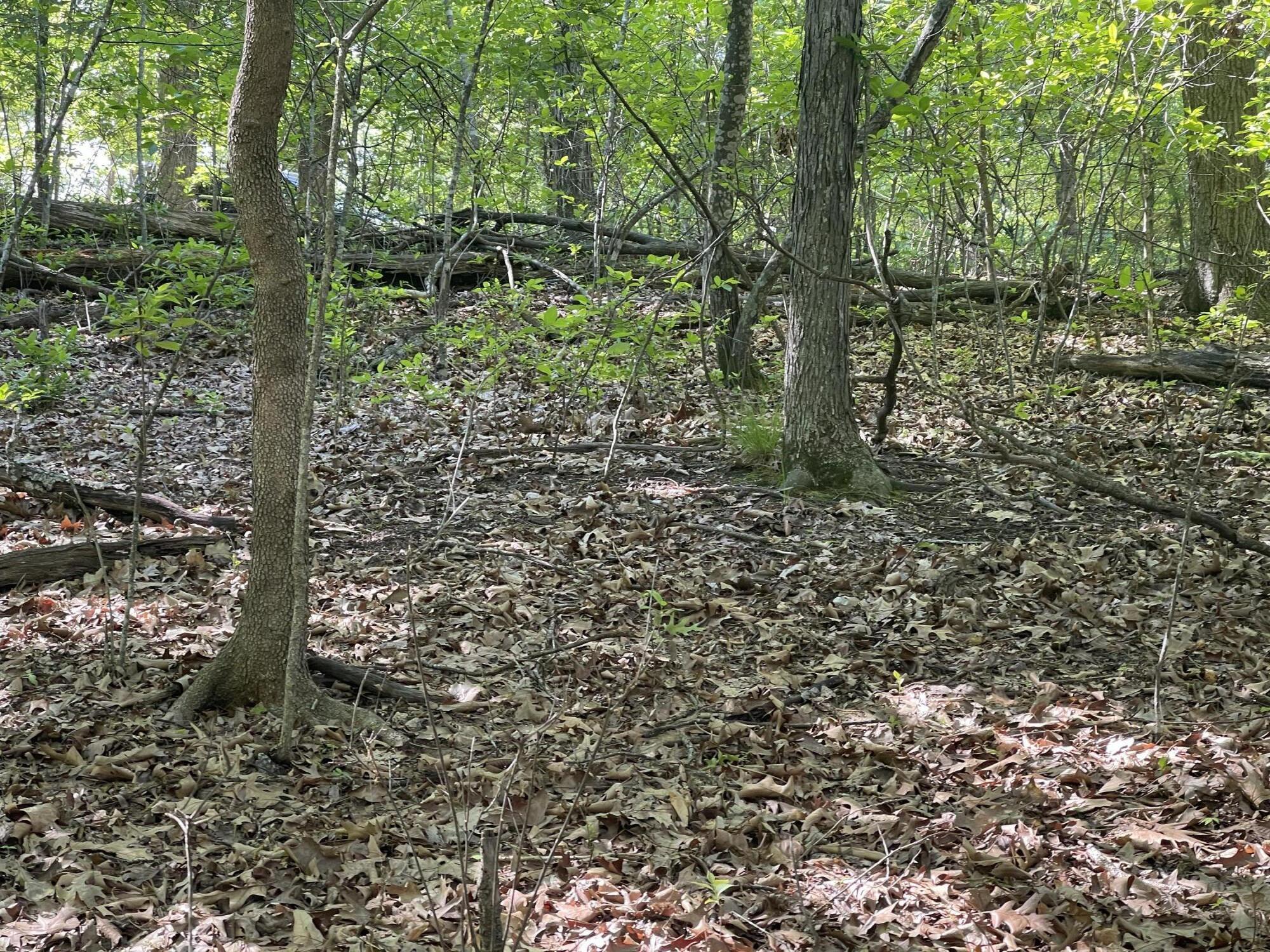 Lot 652 Clover Point Property Photo 10