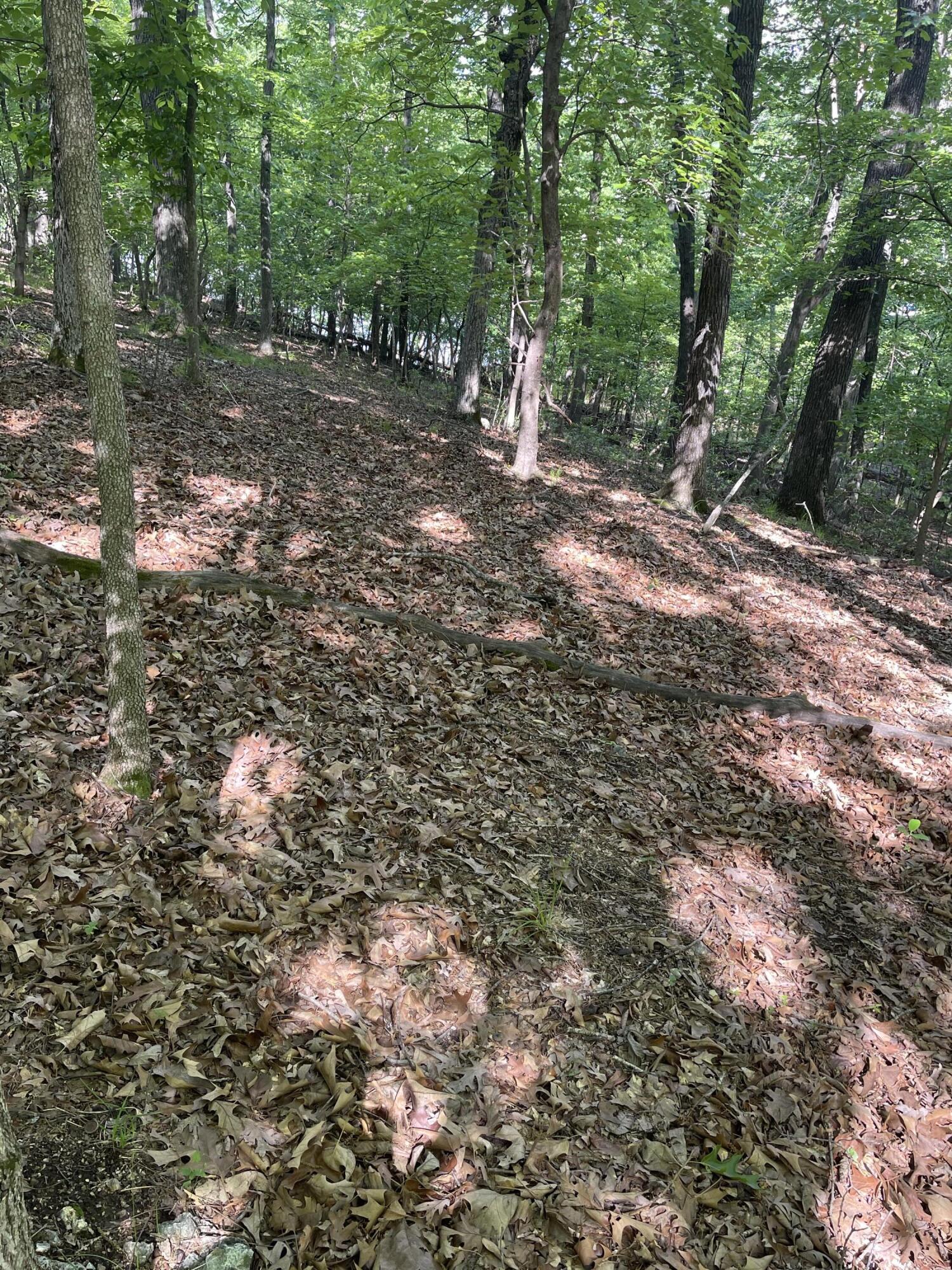 Lot 652 Clover Point Property Photo 11