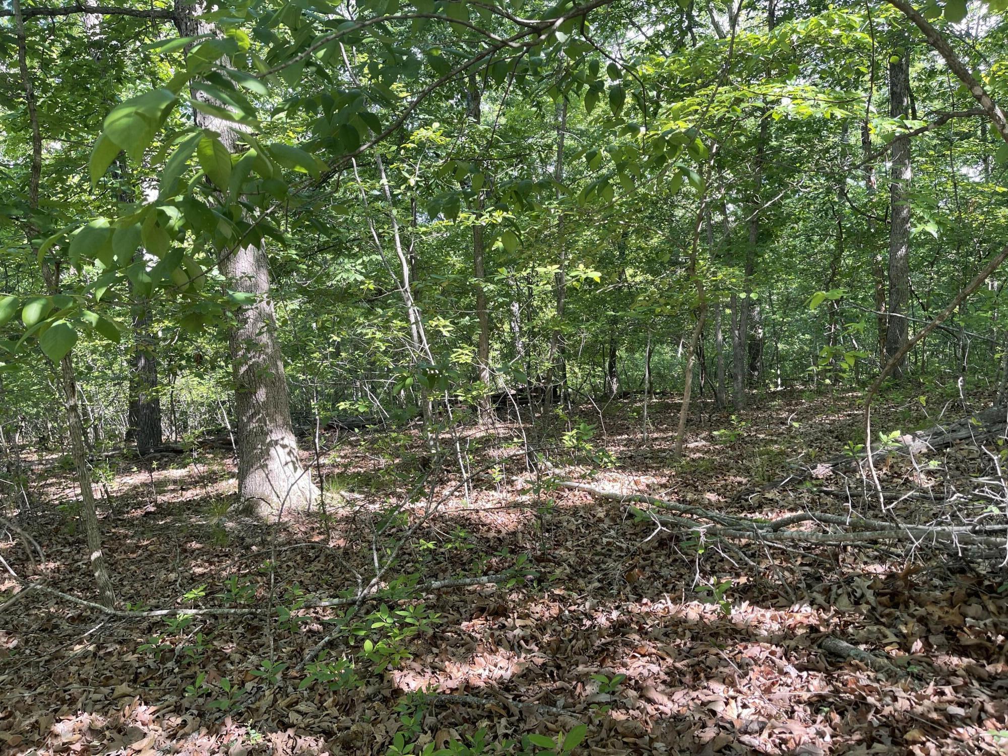 Lot 652 Clover Point Property Photo 12