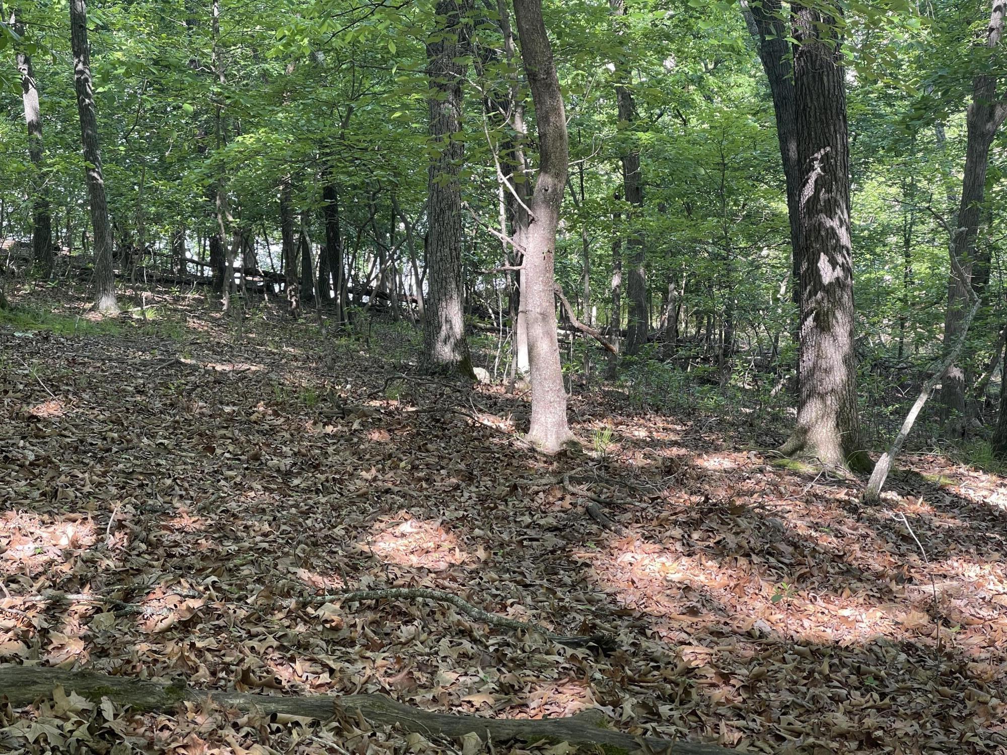 Lot 652 Clover Point Property Photo 13