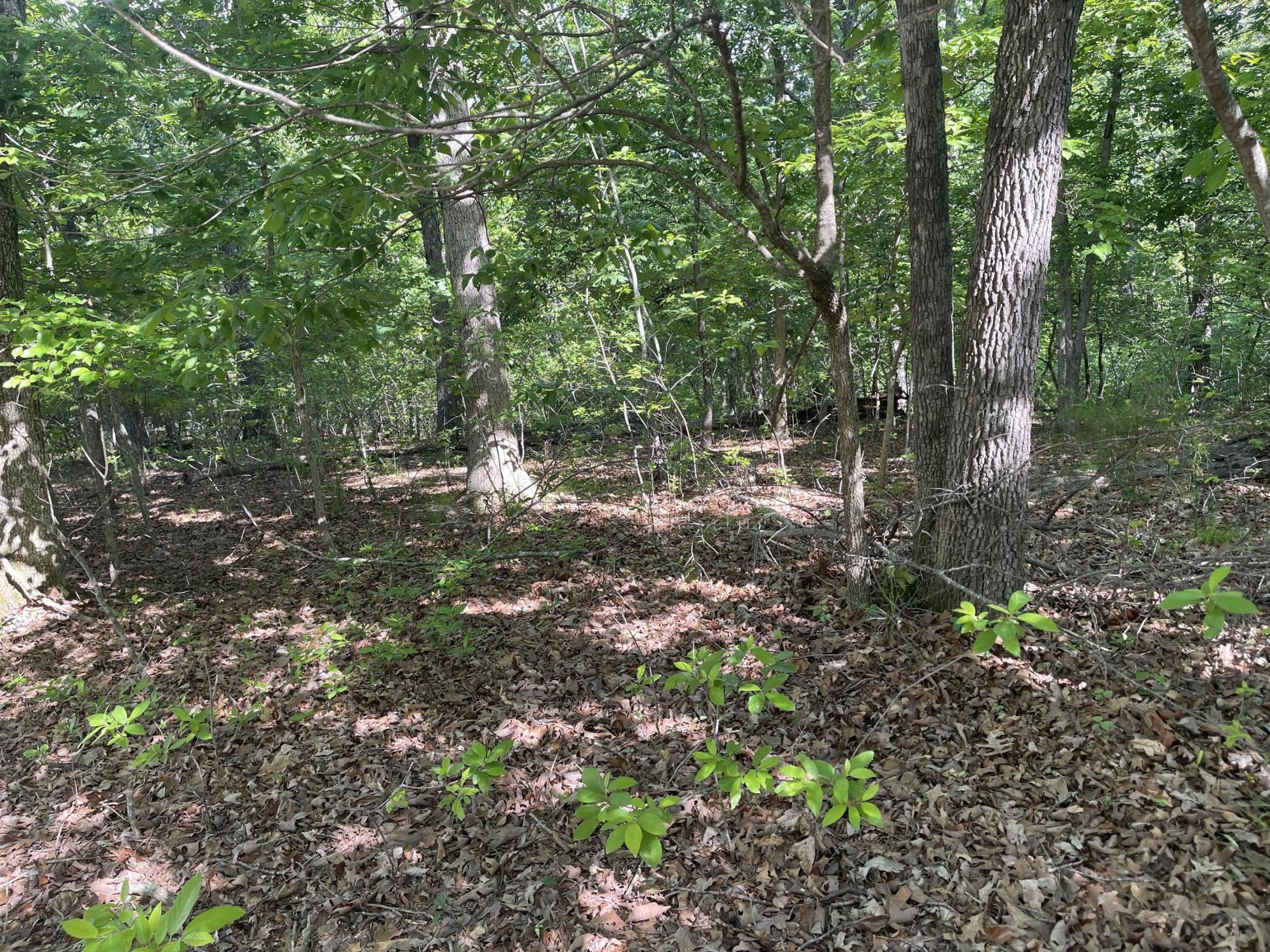Lot 652 Clover Point Property Photo 14