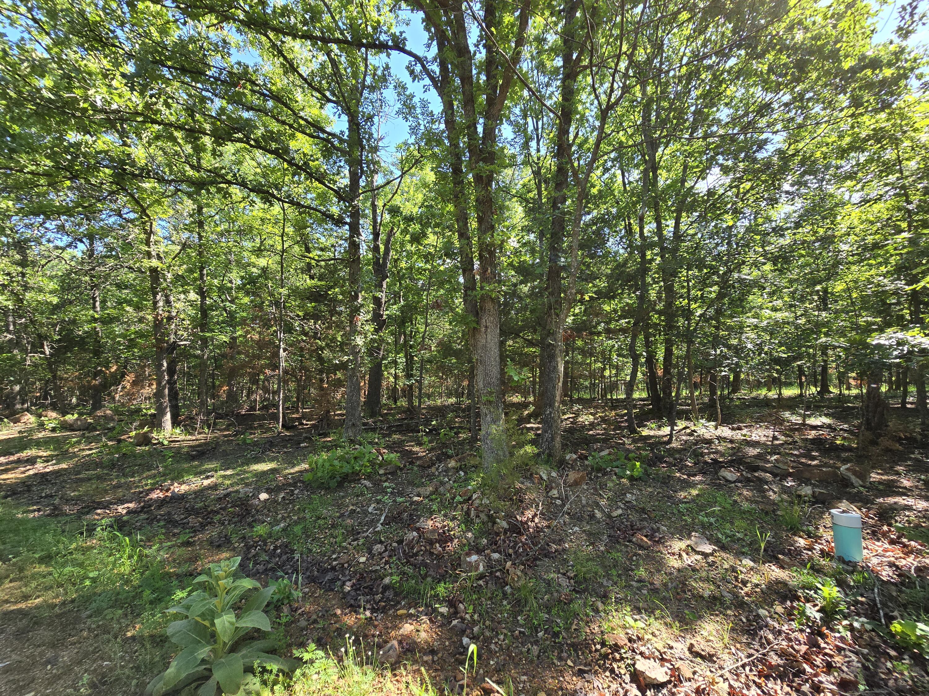 Lot 13 Block 12 Tall Oaks Property Photo 2