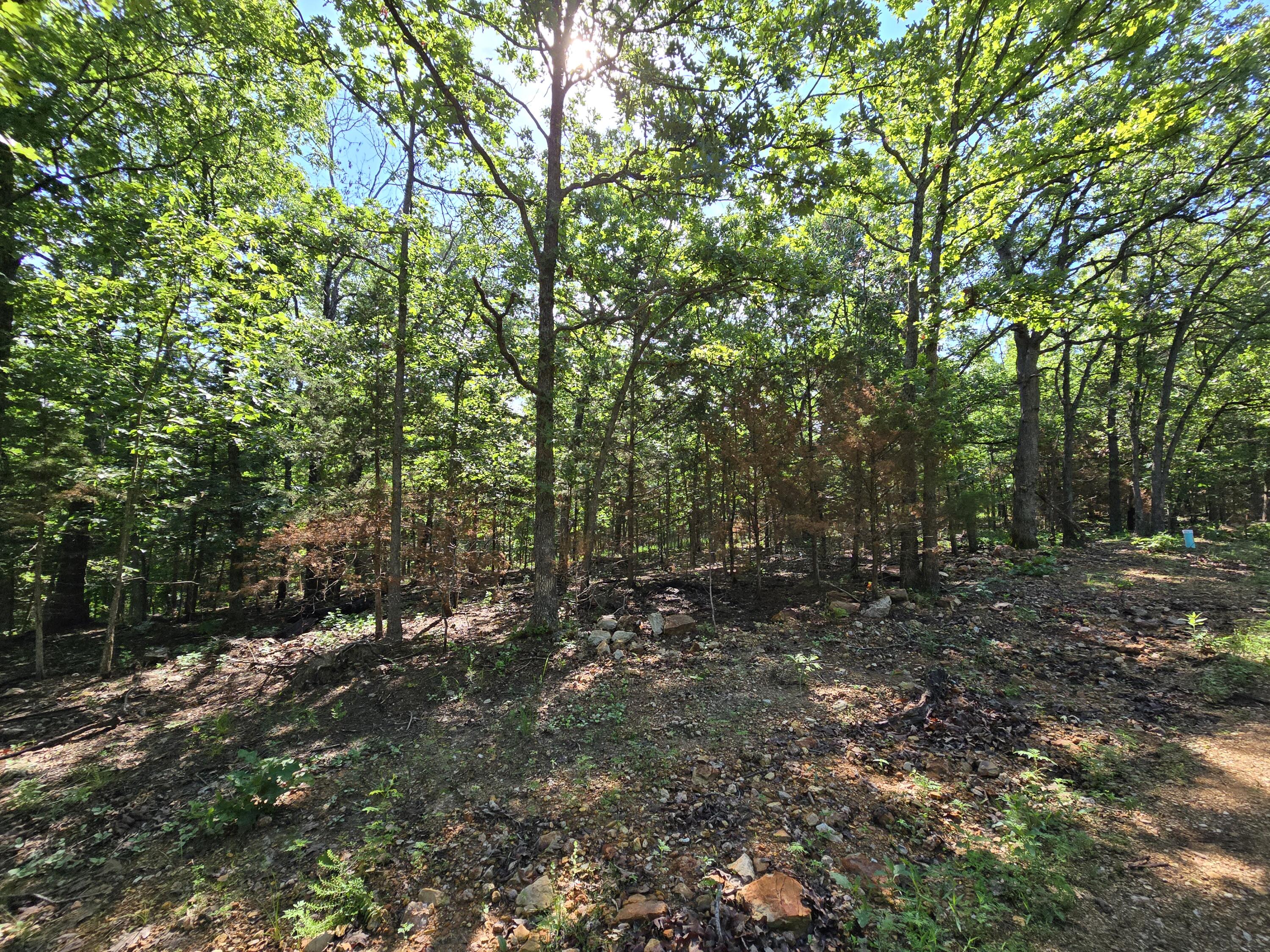 Lot 11 Block 12 Tall Oaks Property Photo 2
