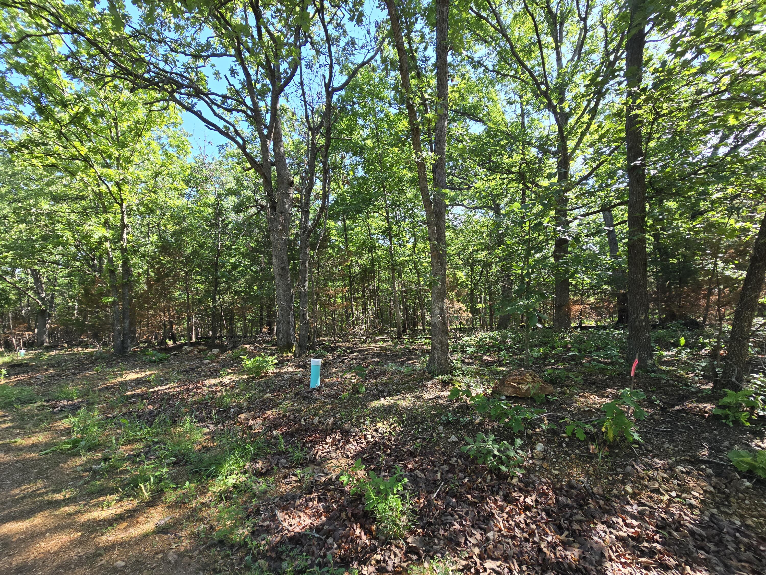 Lot 10 Block 12 Tall Oaks Property Photo