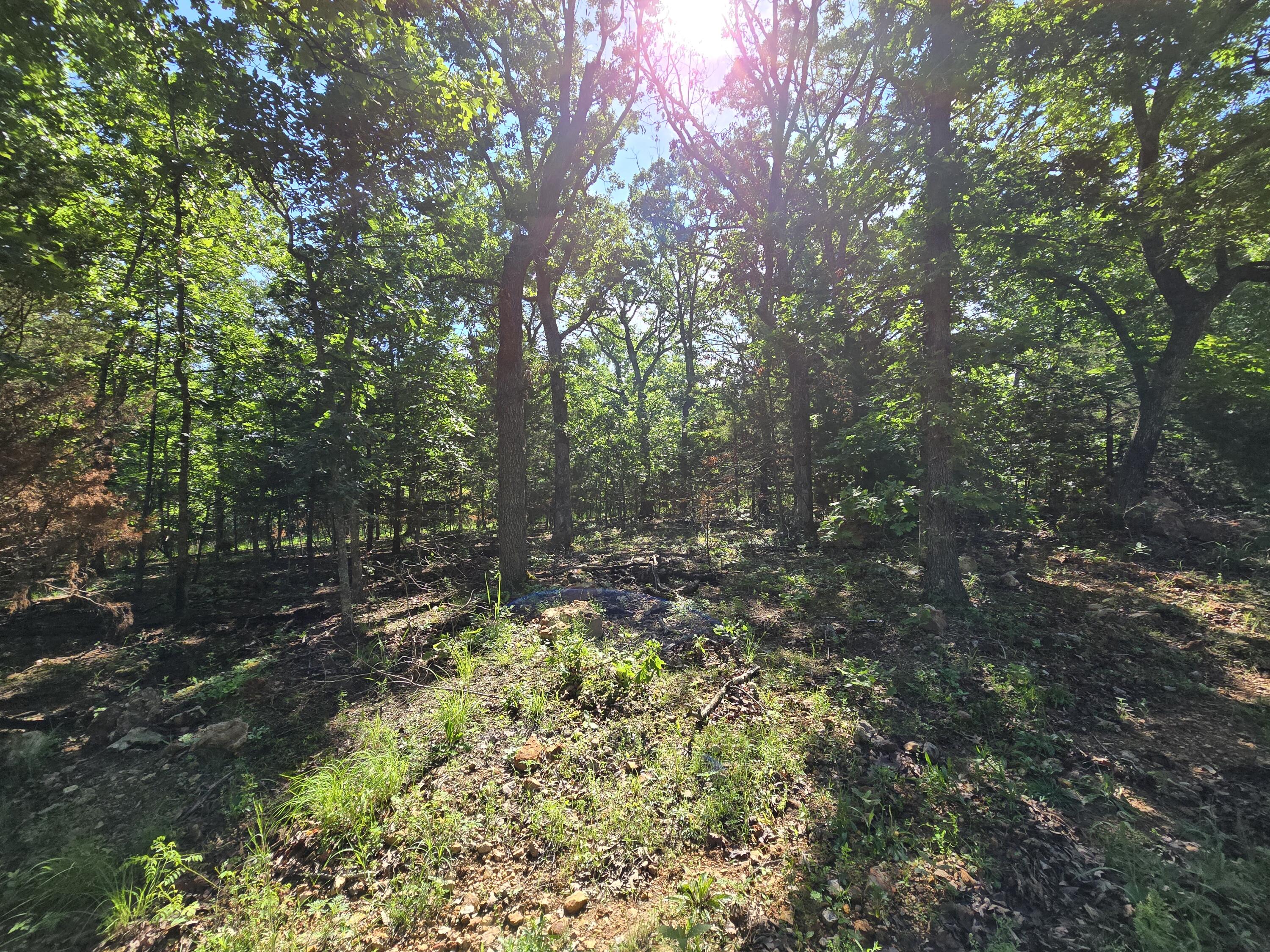 Lot 10 Block 12 Tall Oaks Property Photo 2