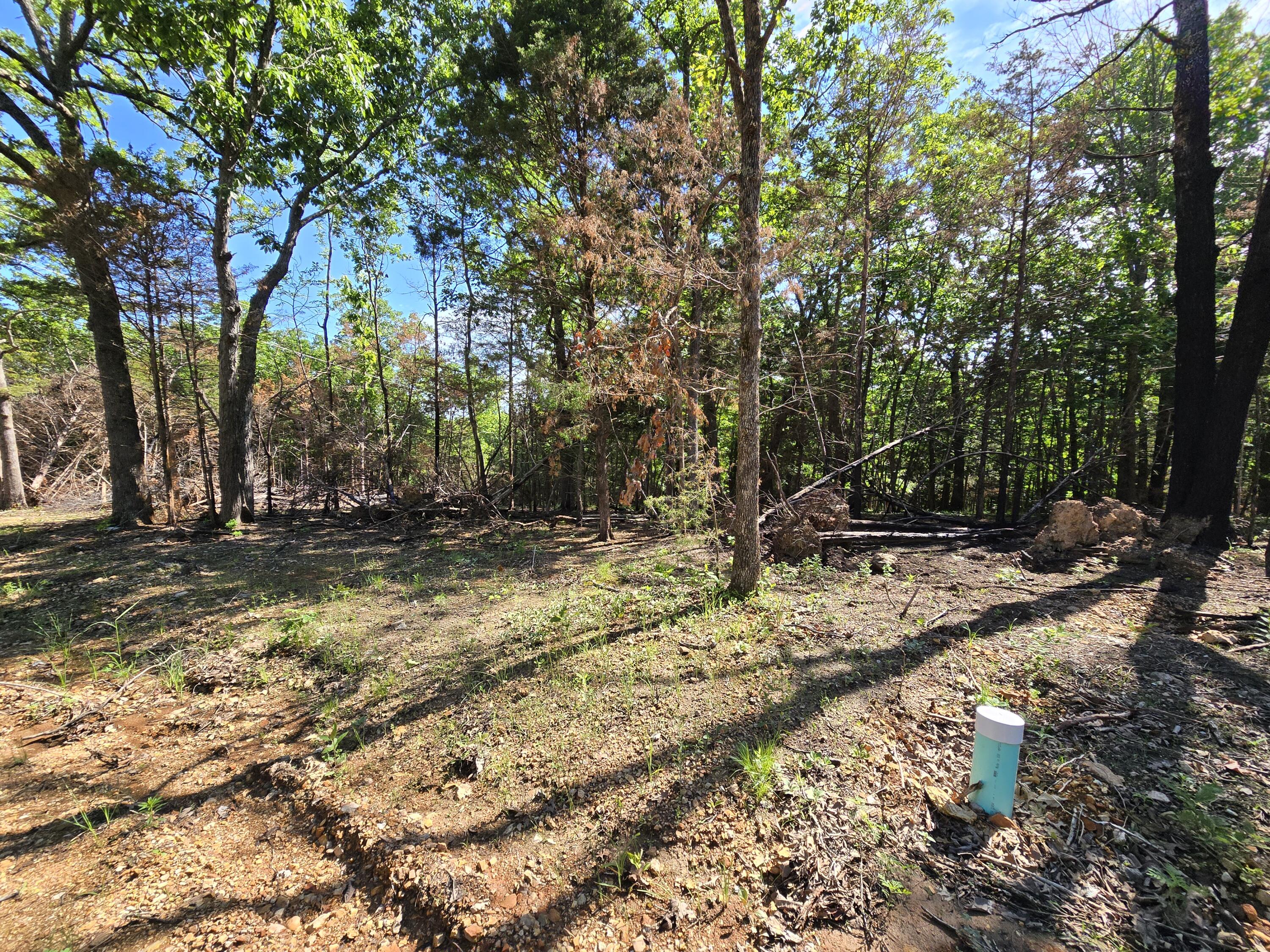 Lot 9 Block 12 Tall Oaks Property Photo