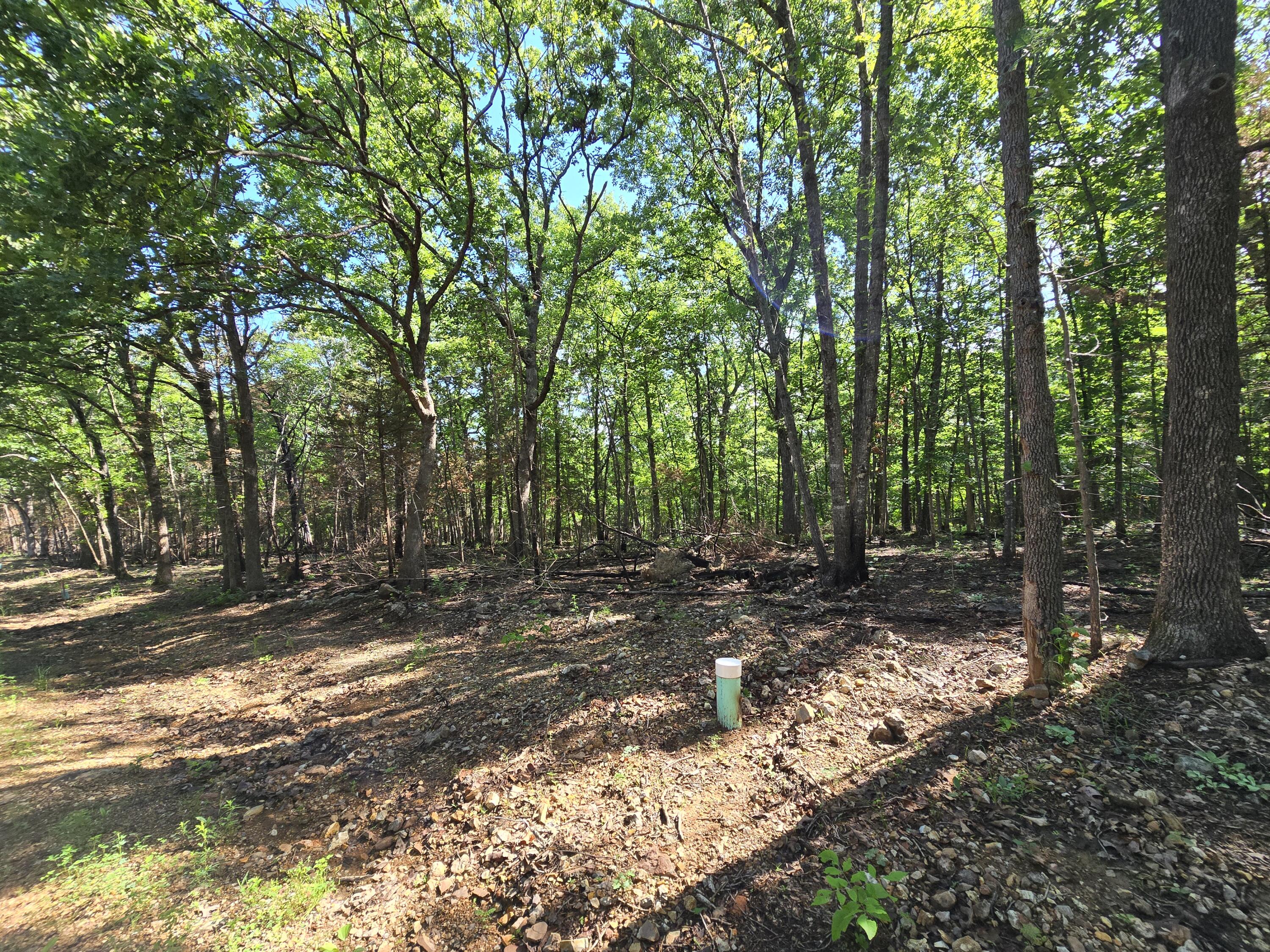 Lot 8 Block 12 Tall Oaks Property Photo