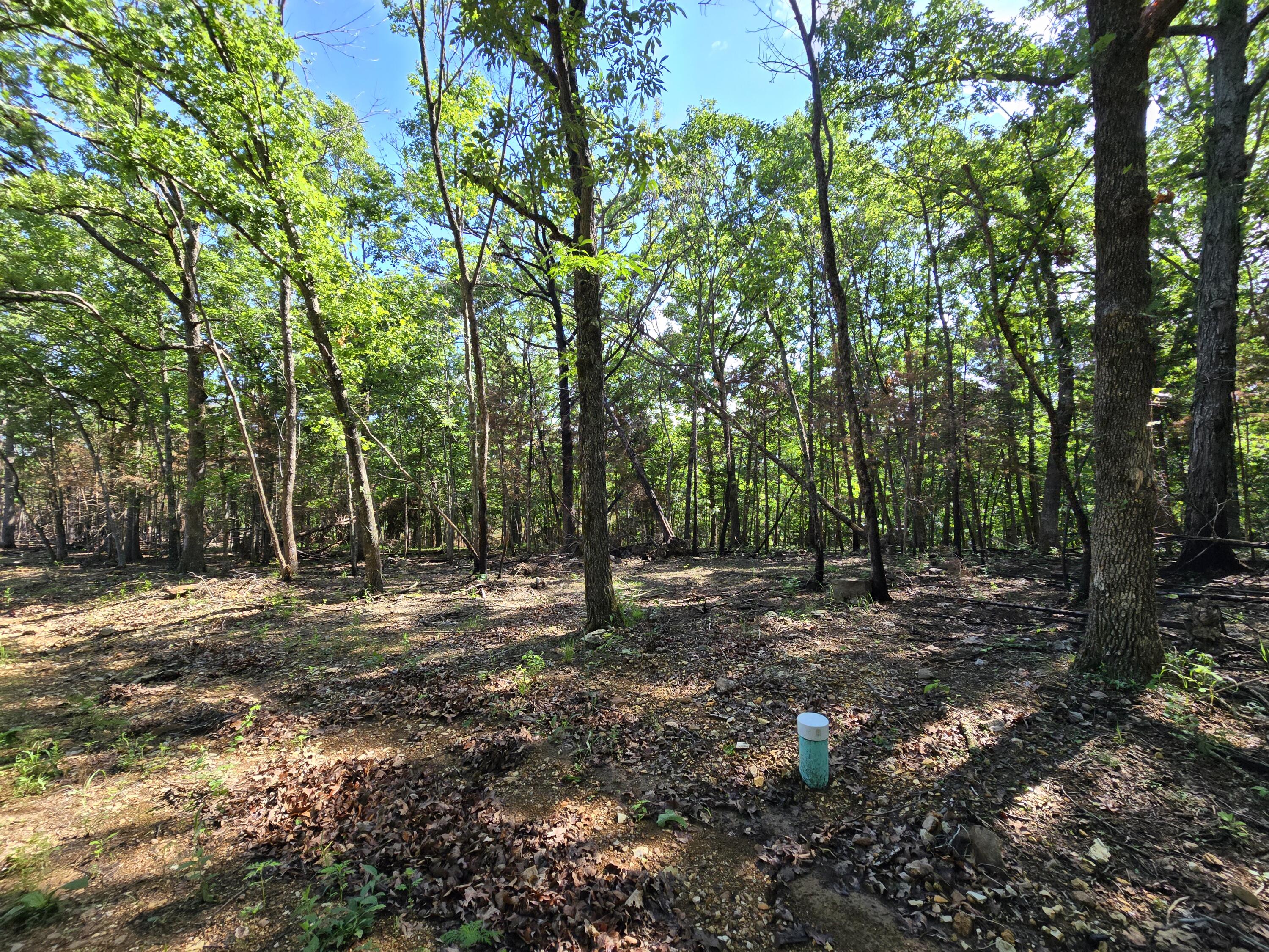 Lot 8 Block 12 Tall Oaks Property Photo 2