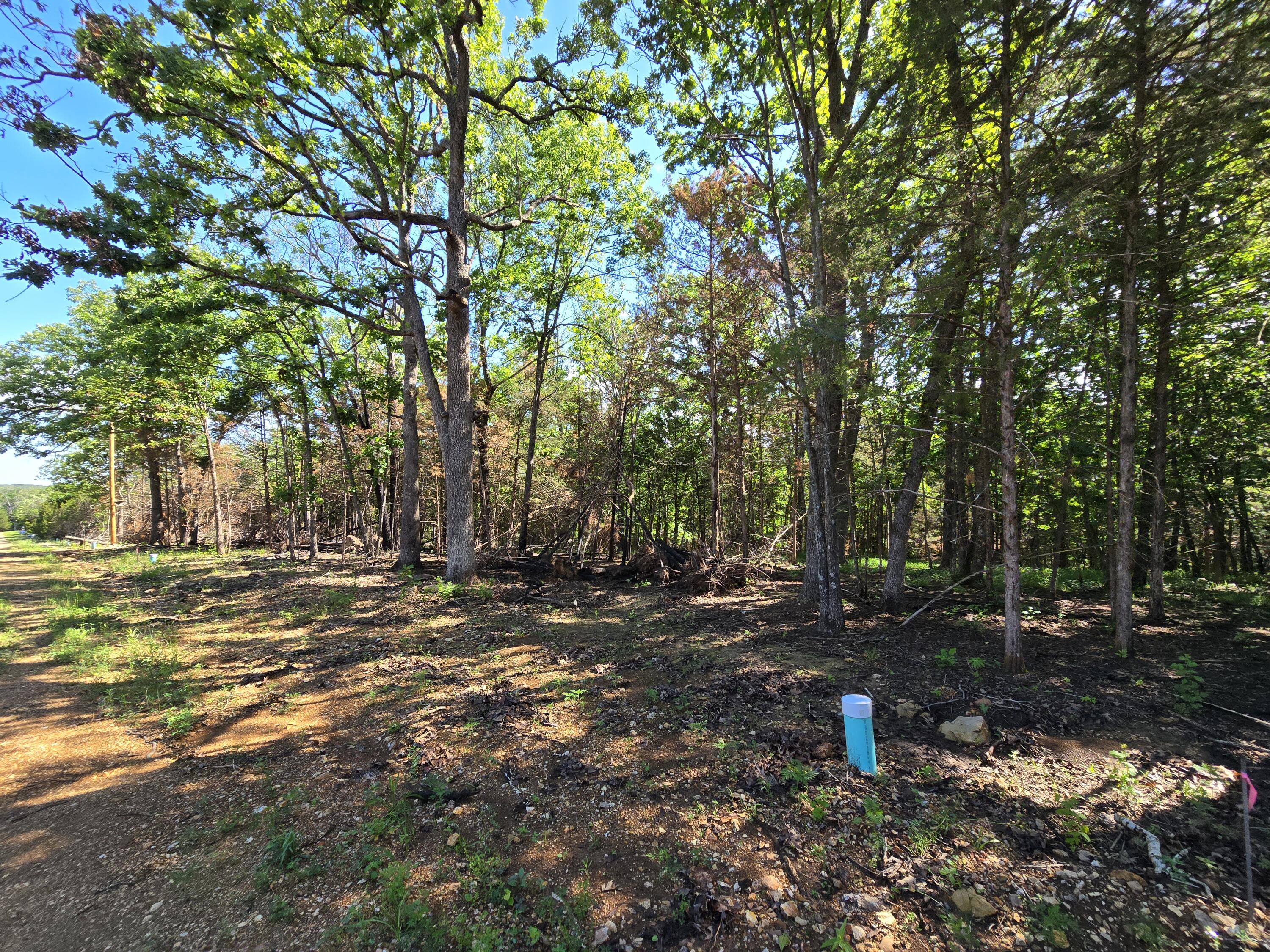 Lot 7 Block 12 Tall Oaks Property Photo 2