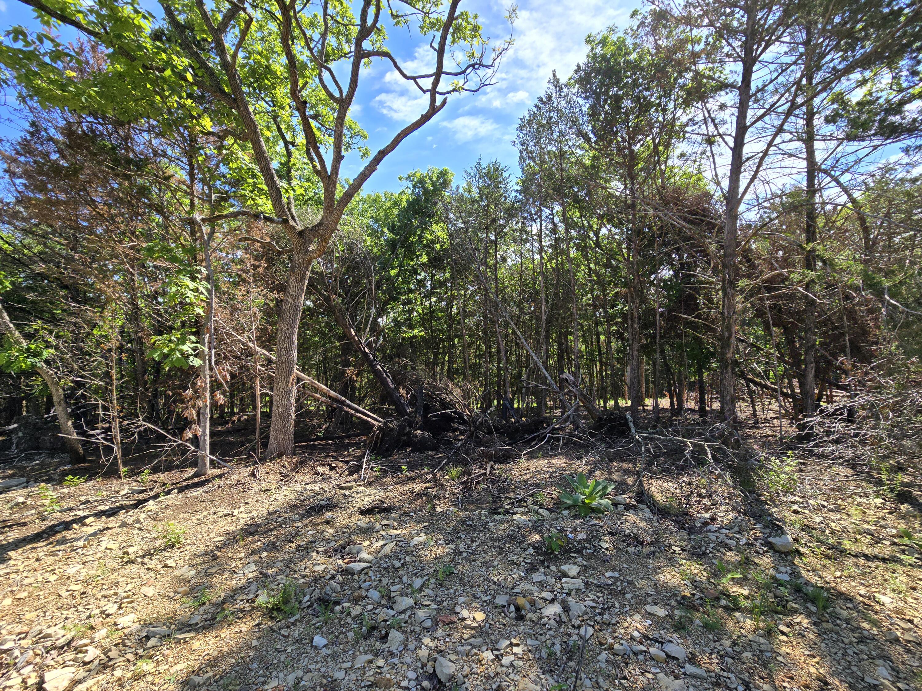 Lot 5 Block 12 Tall Oaks Property Photo 2