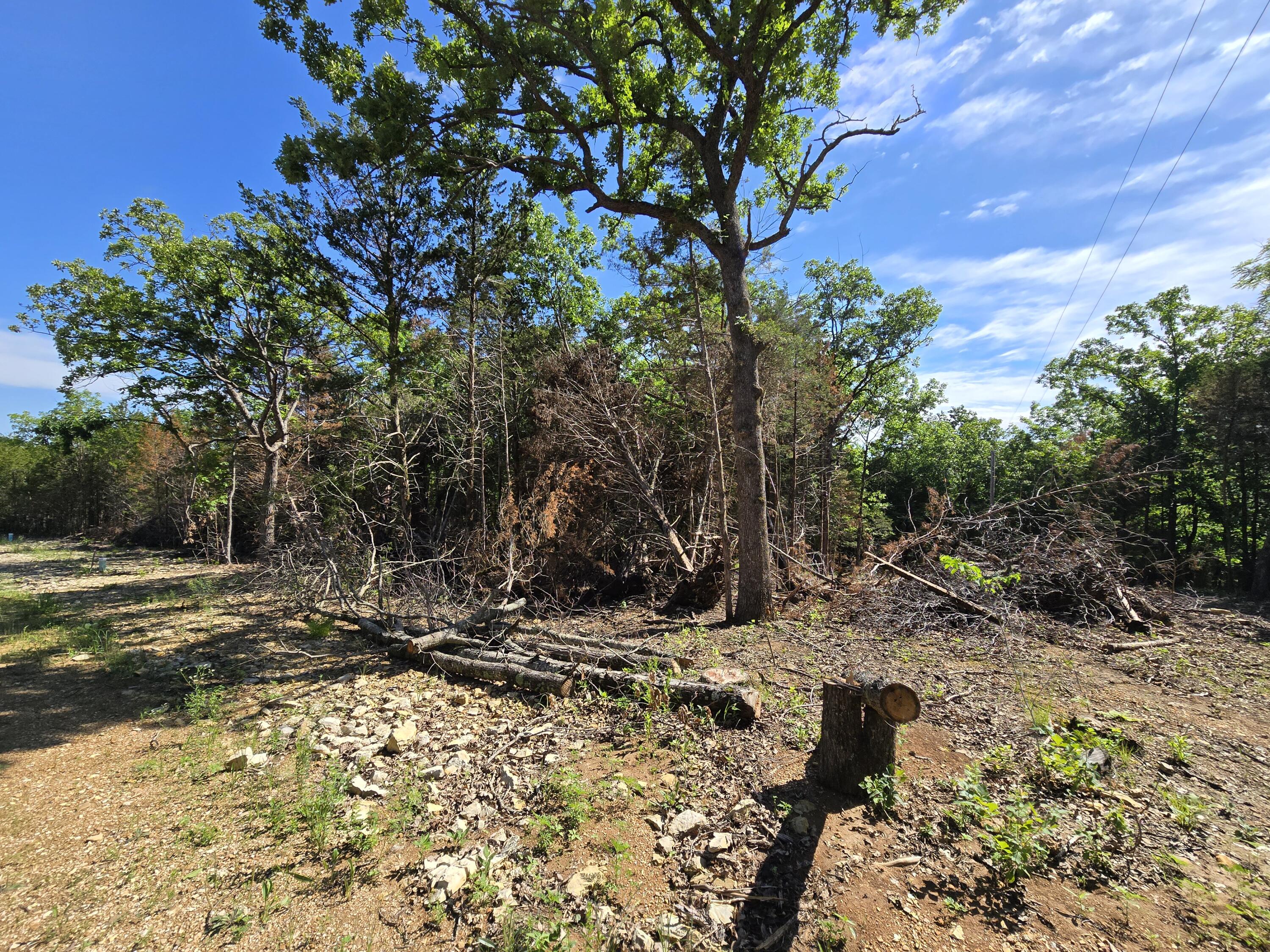 Lot 5 Block 12 Tall Oaks Property Photo 3