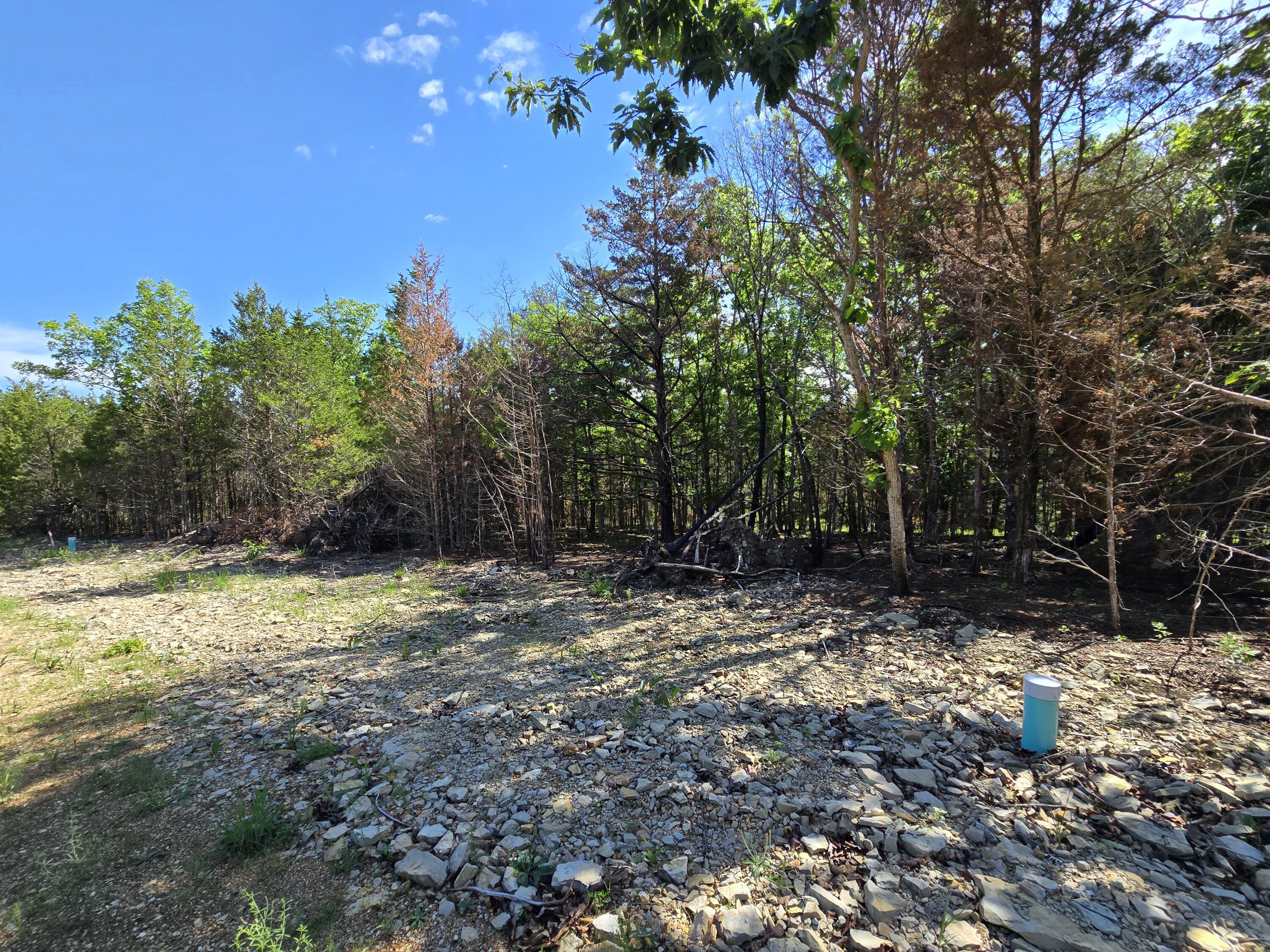 Lot 4 Block 12 Tall Oaks Property Photo 2