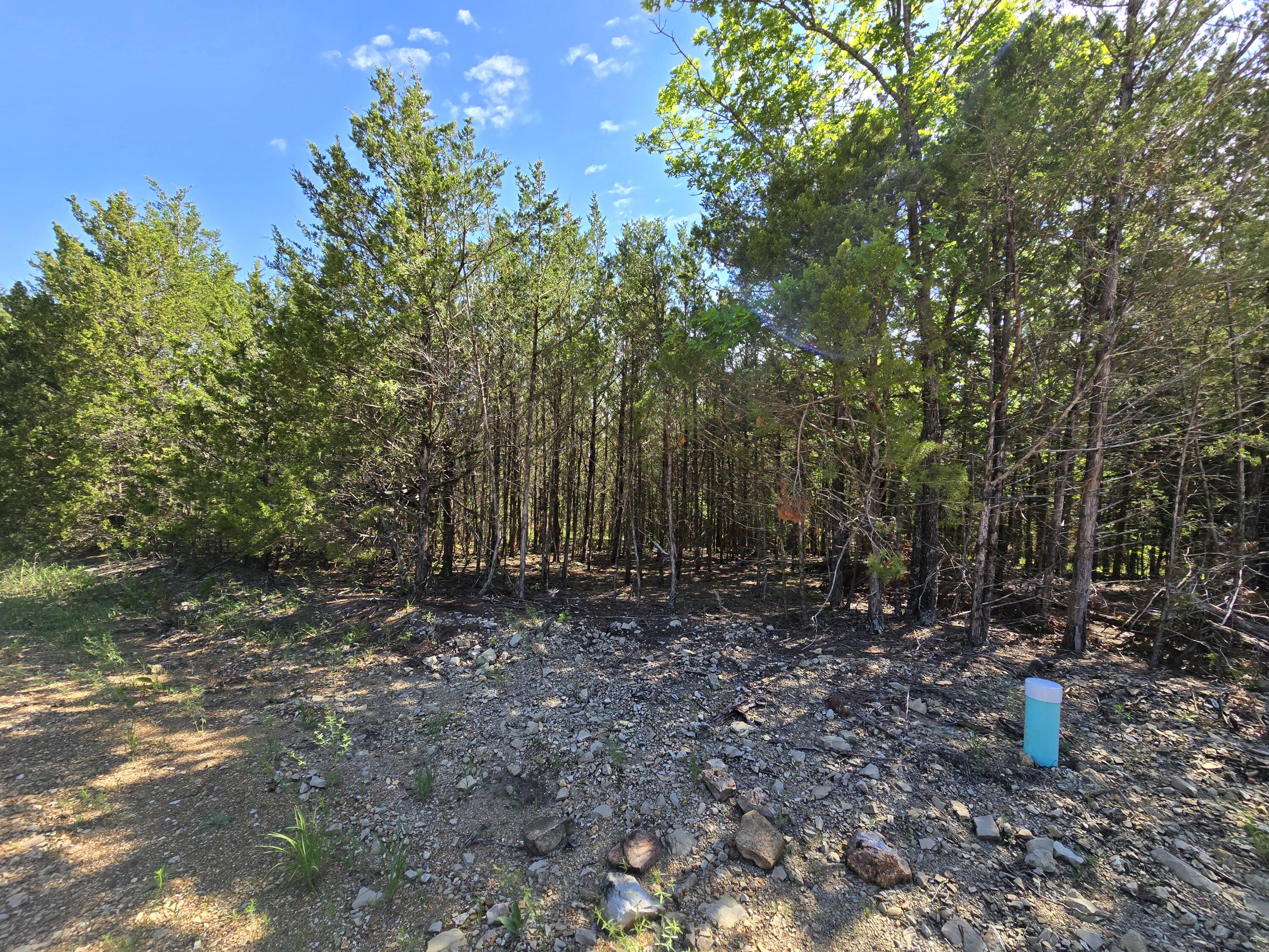 Lot 3 Block 12 Tall Oaks Property Photo