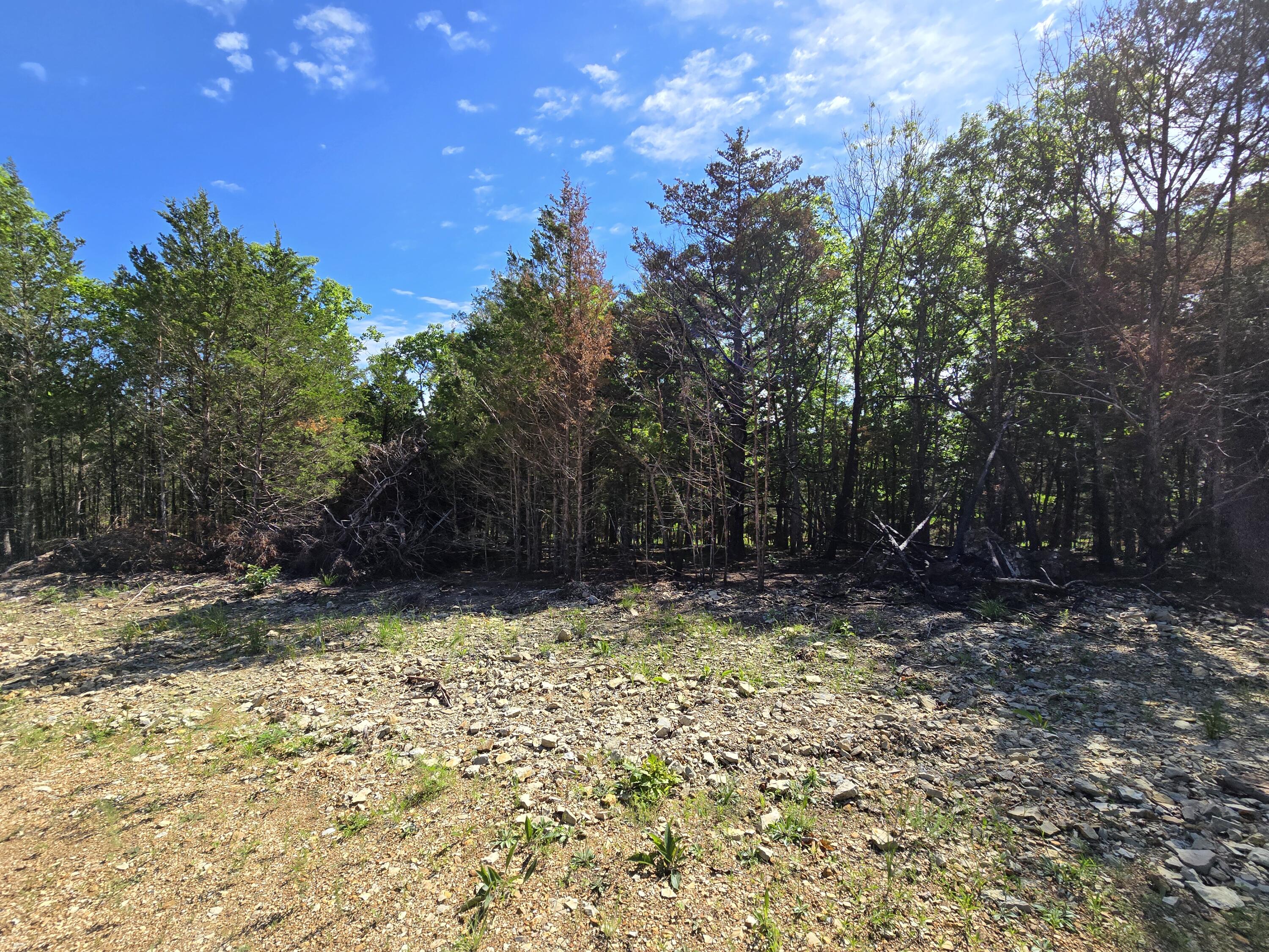 Lot 3 Block 12 Tall Oaks Property Photo 2