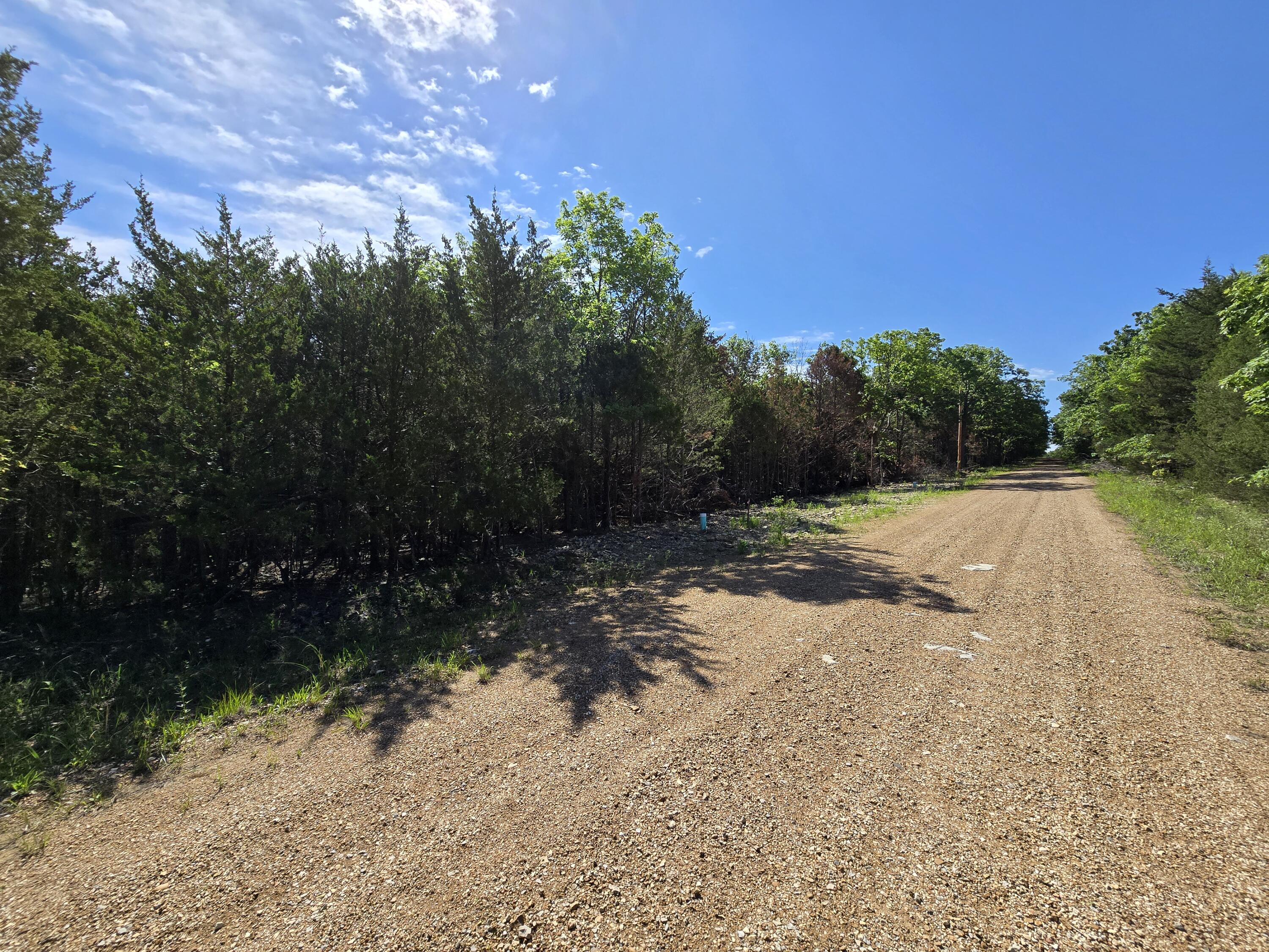 Lot 3 Block 12 Tall Oaks Property Photo 3
