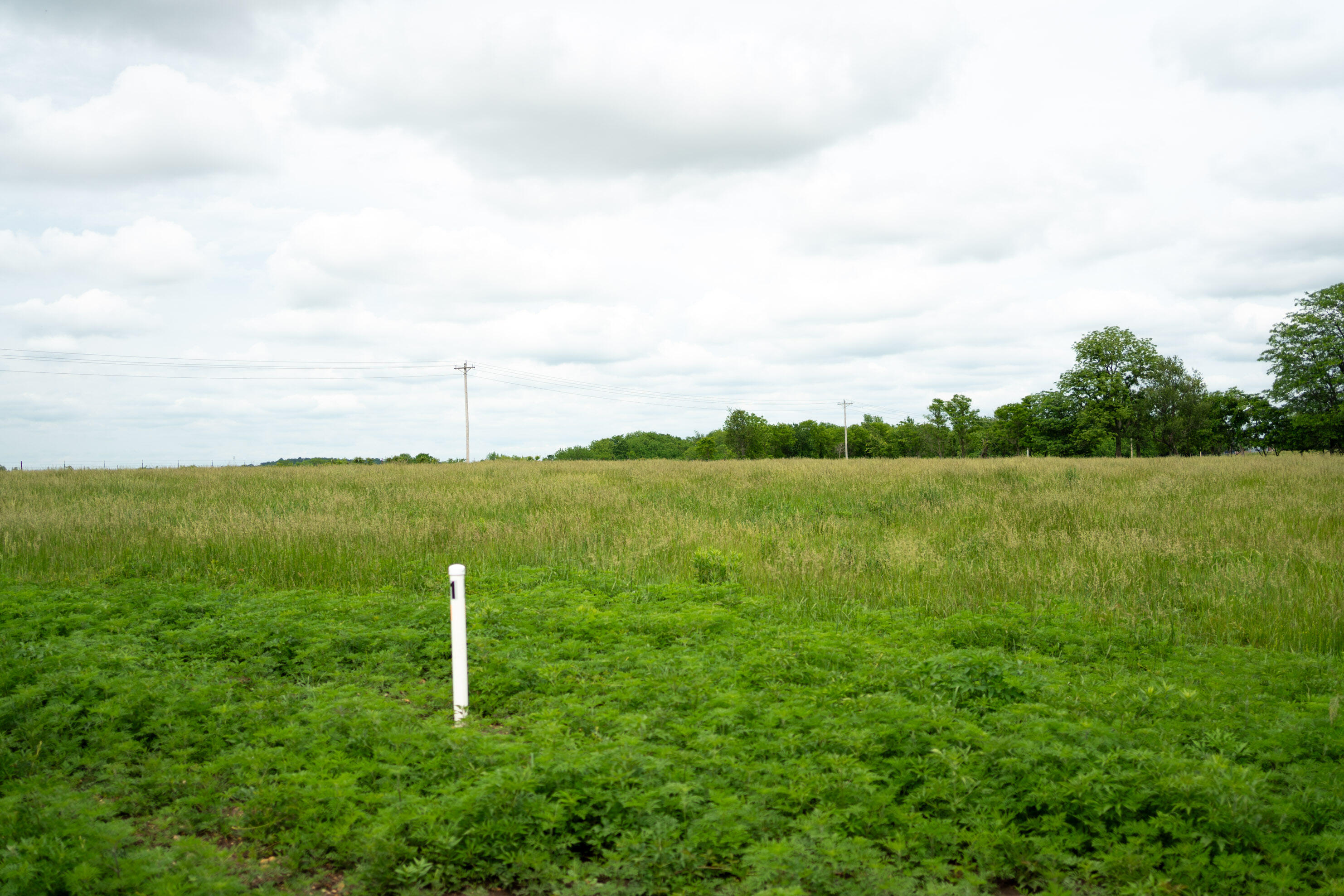 0001 East 480th Road Property Photo 6