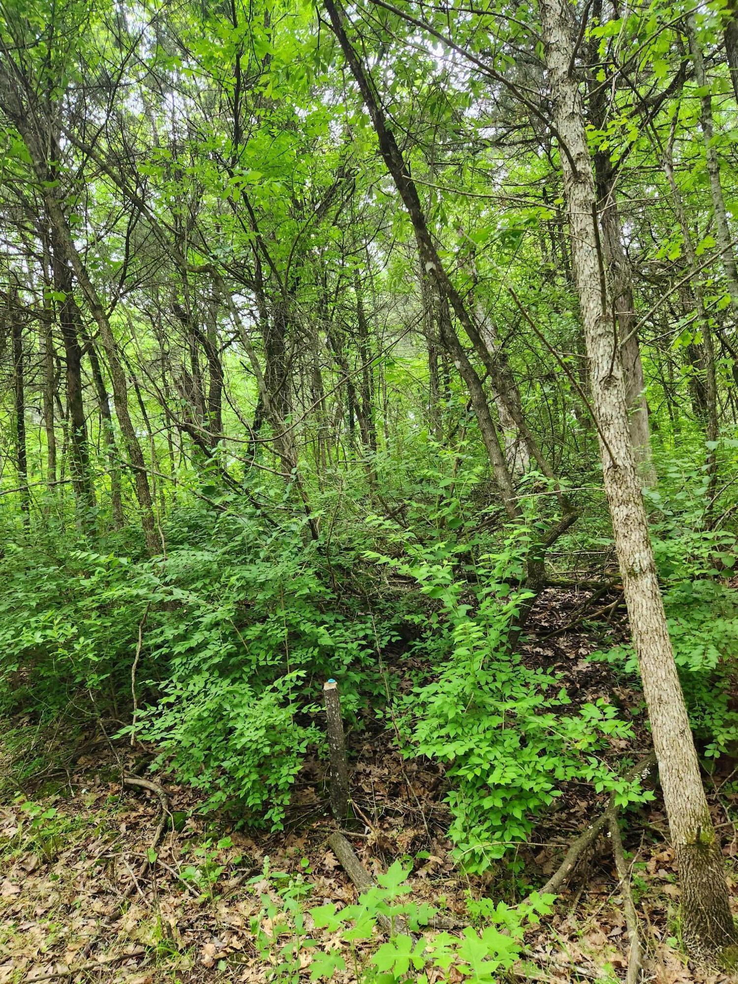 000 Private Road 1183 Property Photo 8