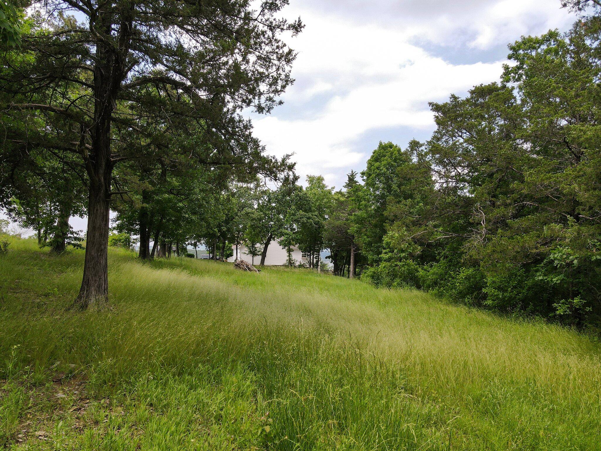 Lot 135a Dogwood Village Lane Property Photo 18