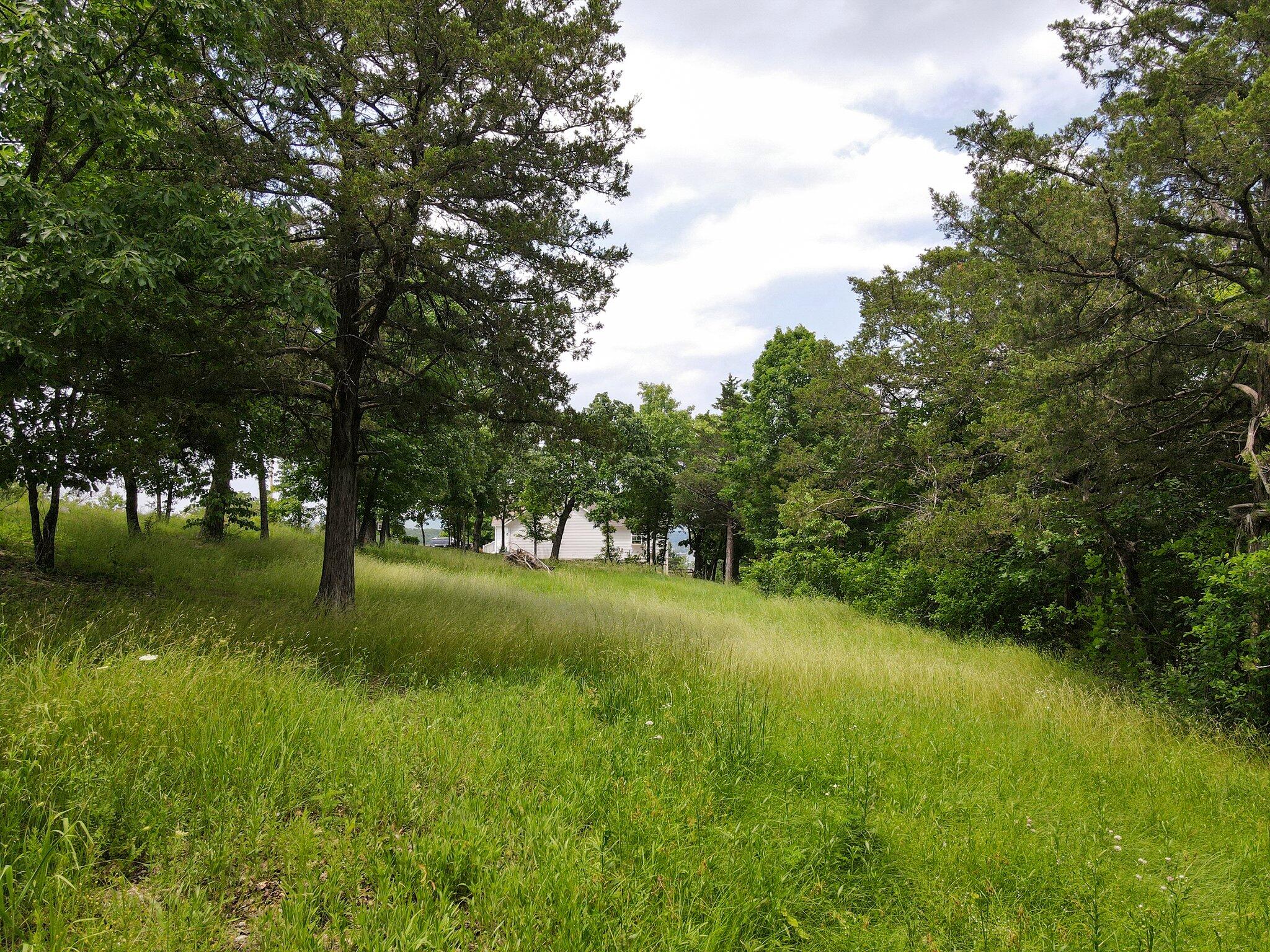 Lot 135a Dogwood Village Lane Property Photo 19