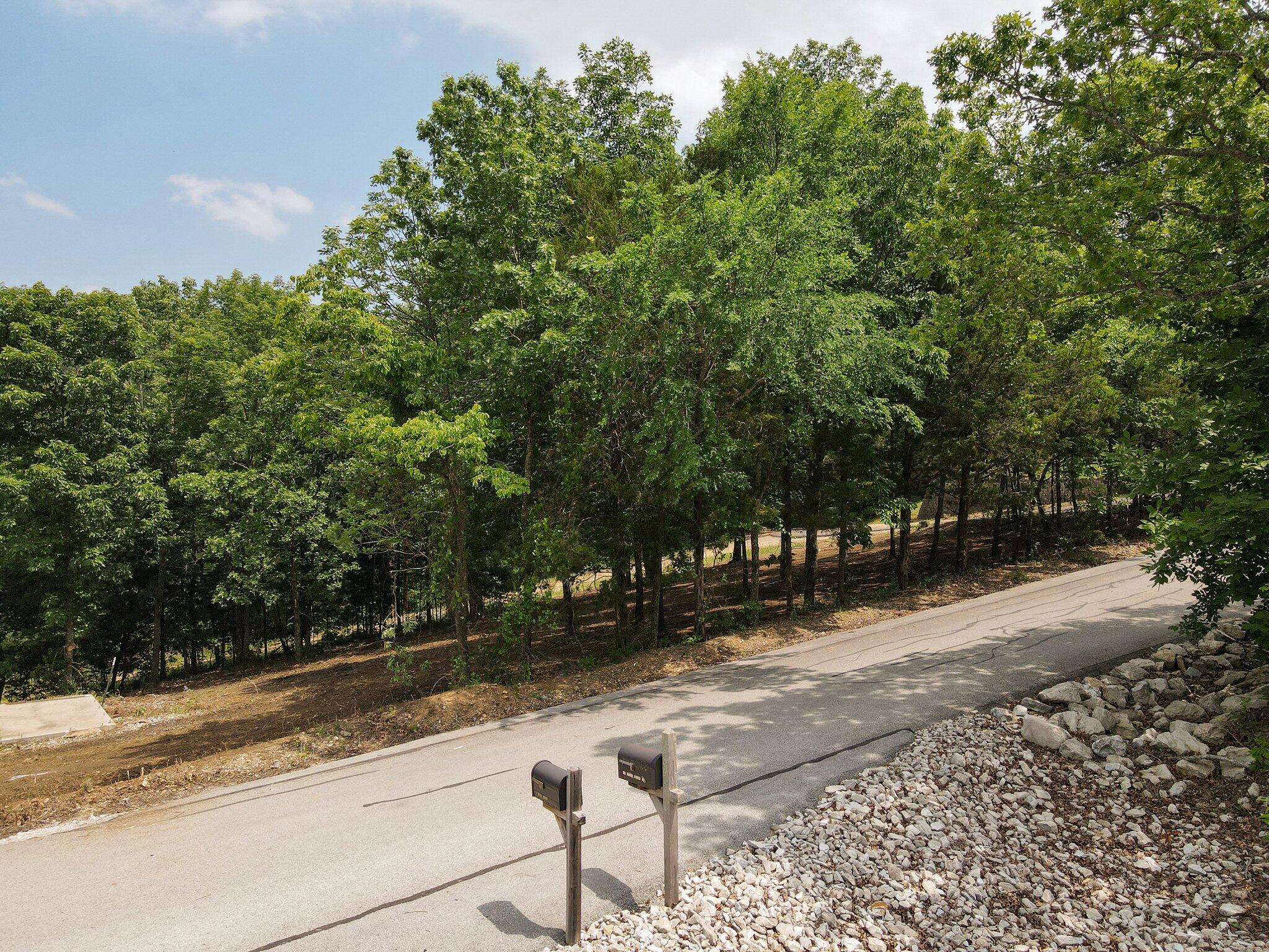 Lot 135a Dogwood Village Lane Property Photo 24