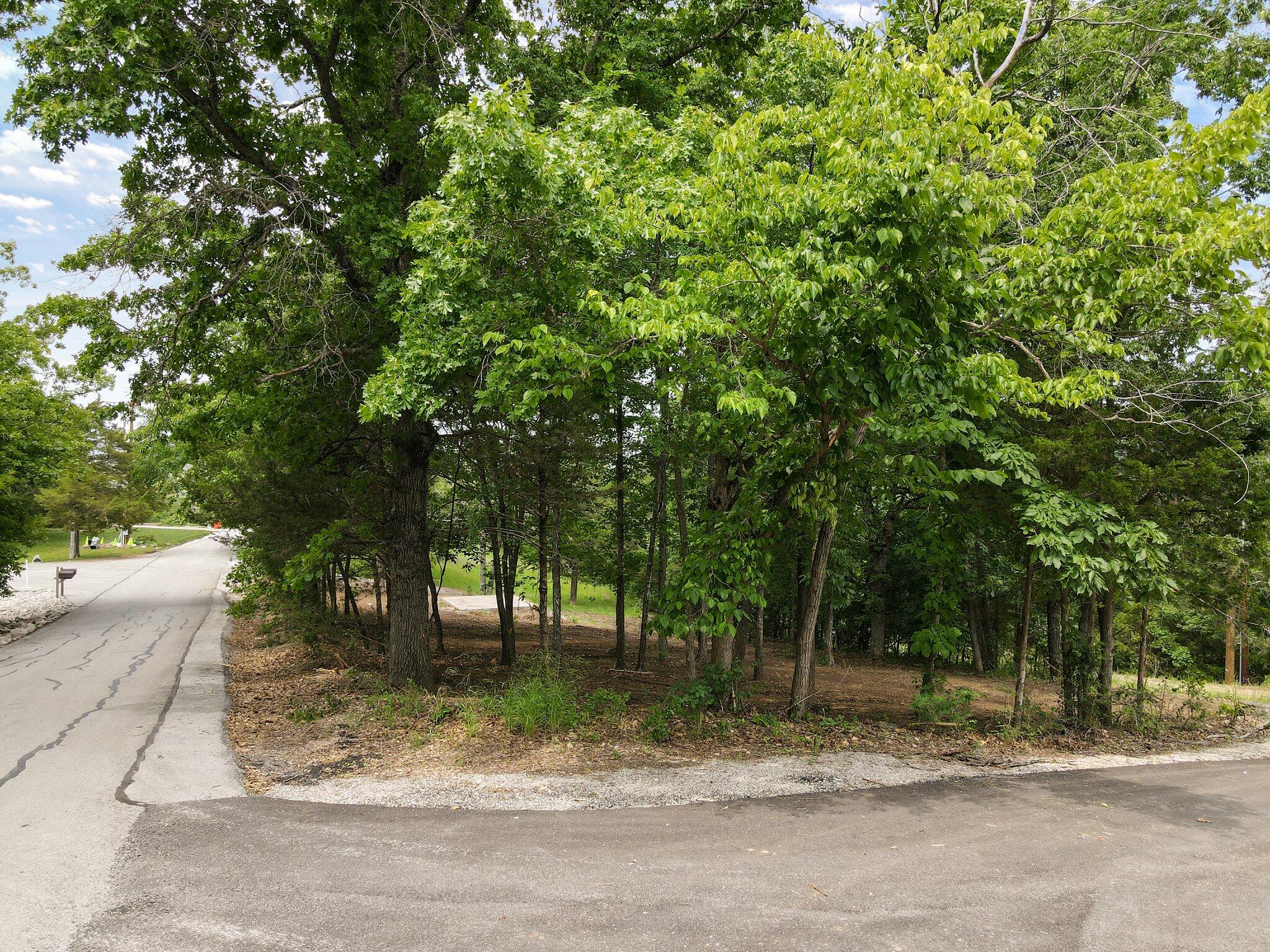 Lot 135a Dogwood Village Lane Property Photo 30