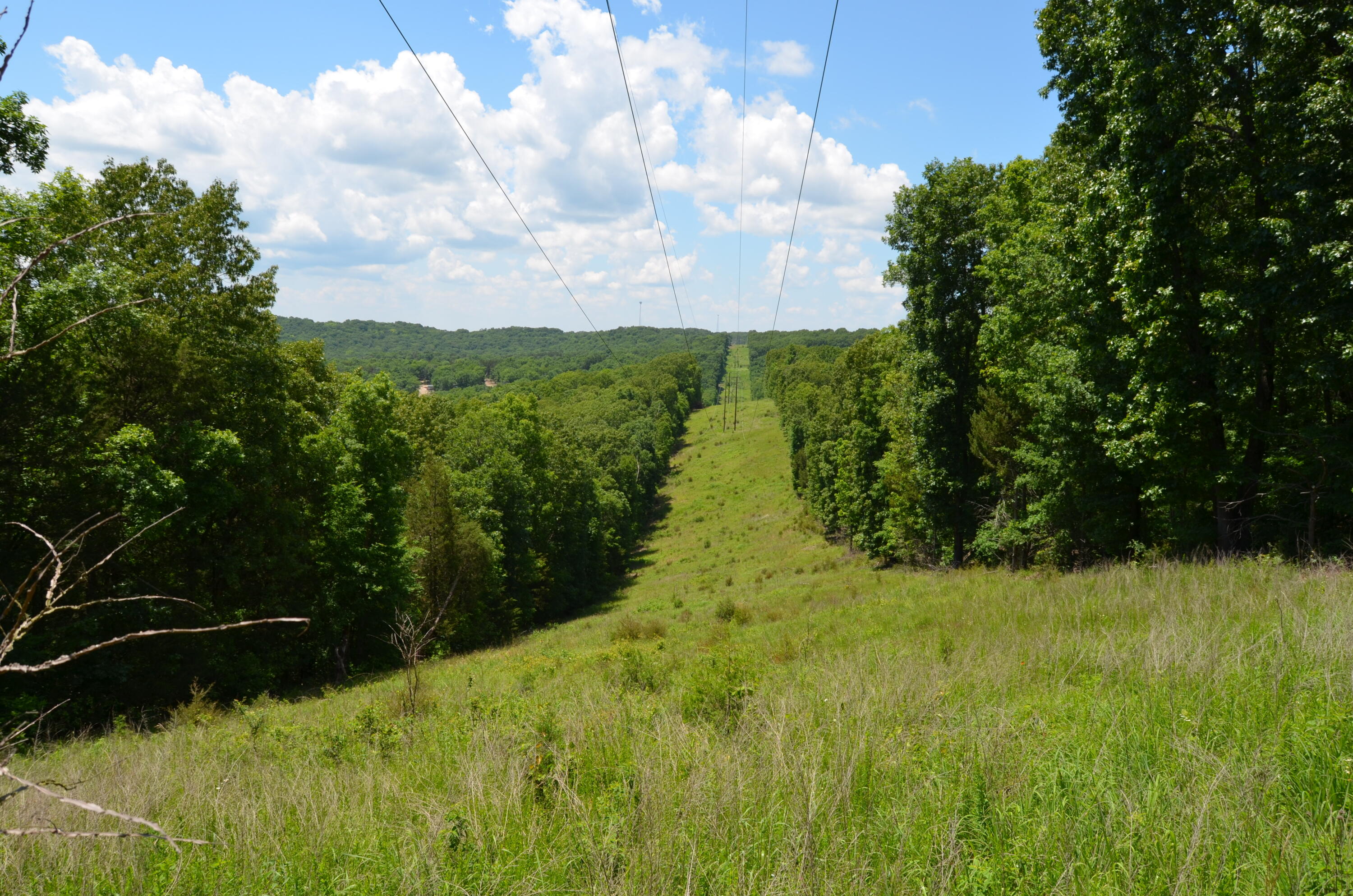 Tbd Pioneer Point Road Property Photo 11