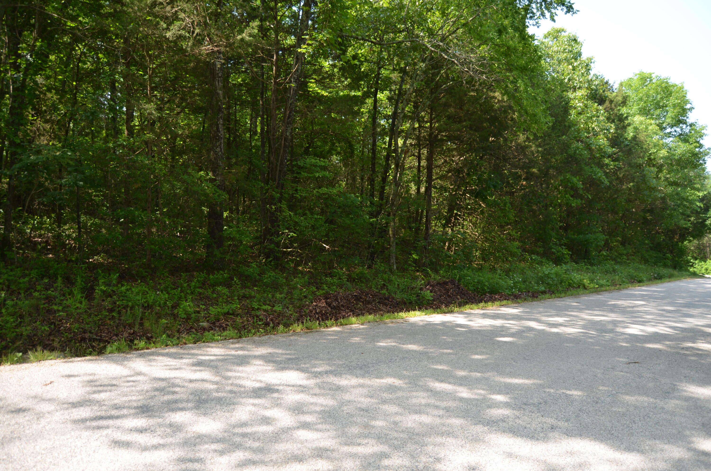 Tbd Pioneer Point Road Property Photo 13