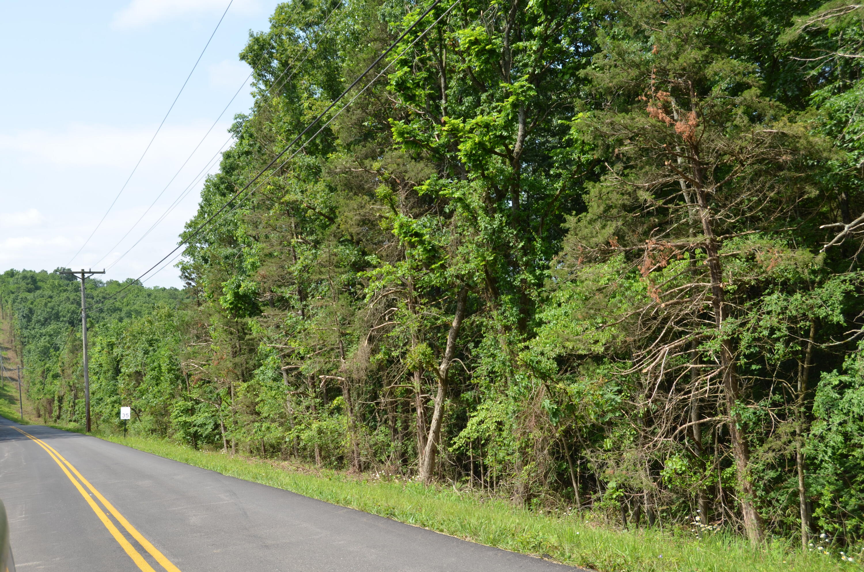 Tbd Pioneer Point Road Property Photo 14