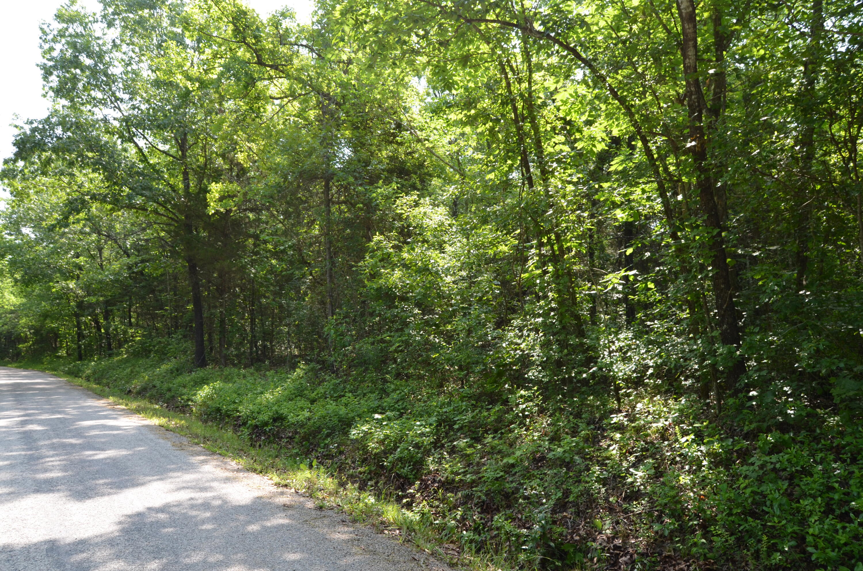 Tbd Pioneer Point Road Property Photo 15