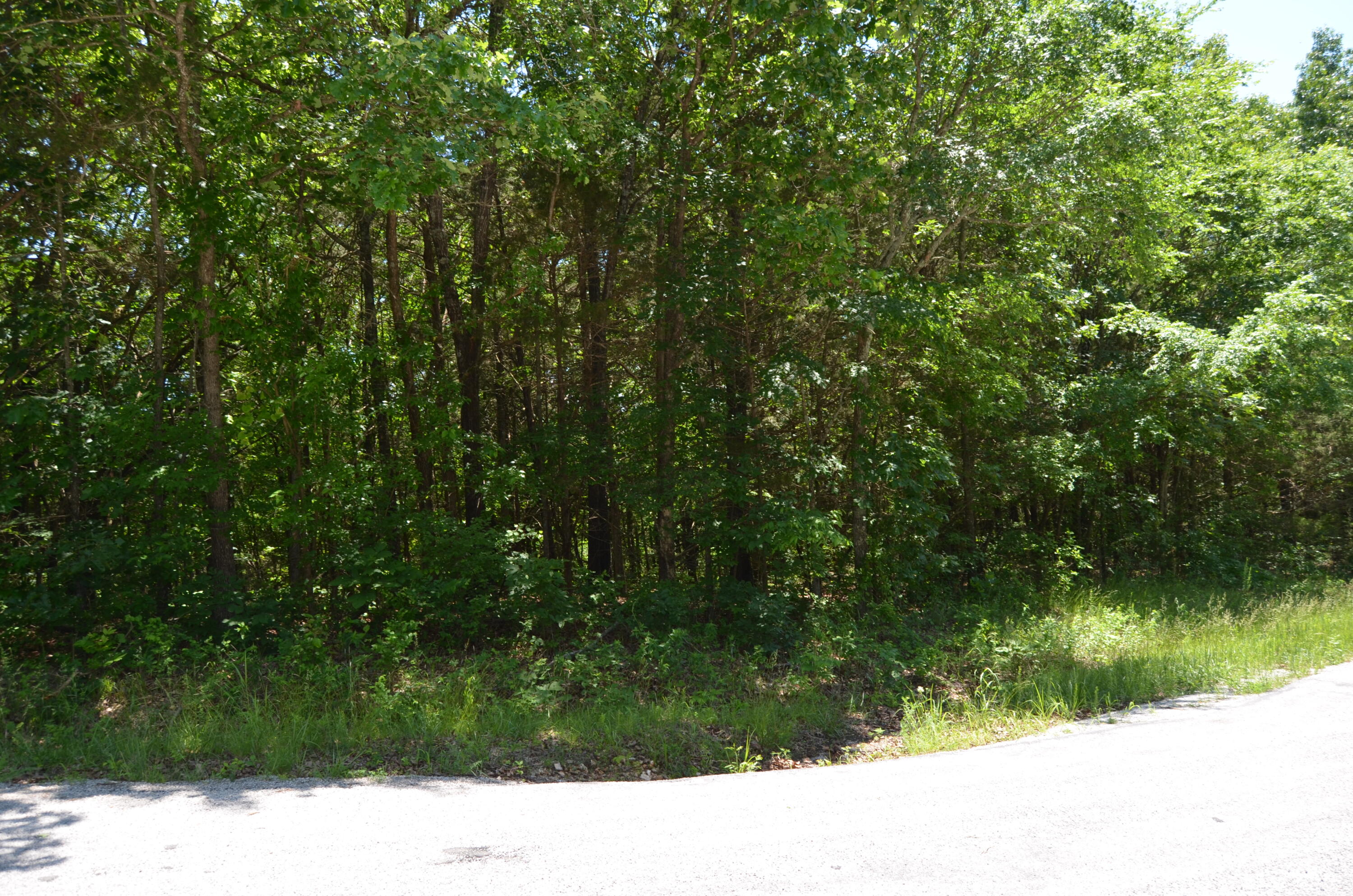 Tbd Pioneer Point Road Property Photo 19