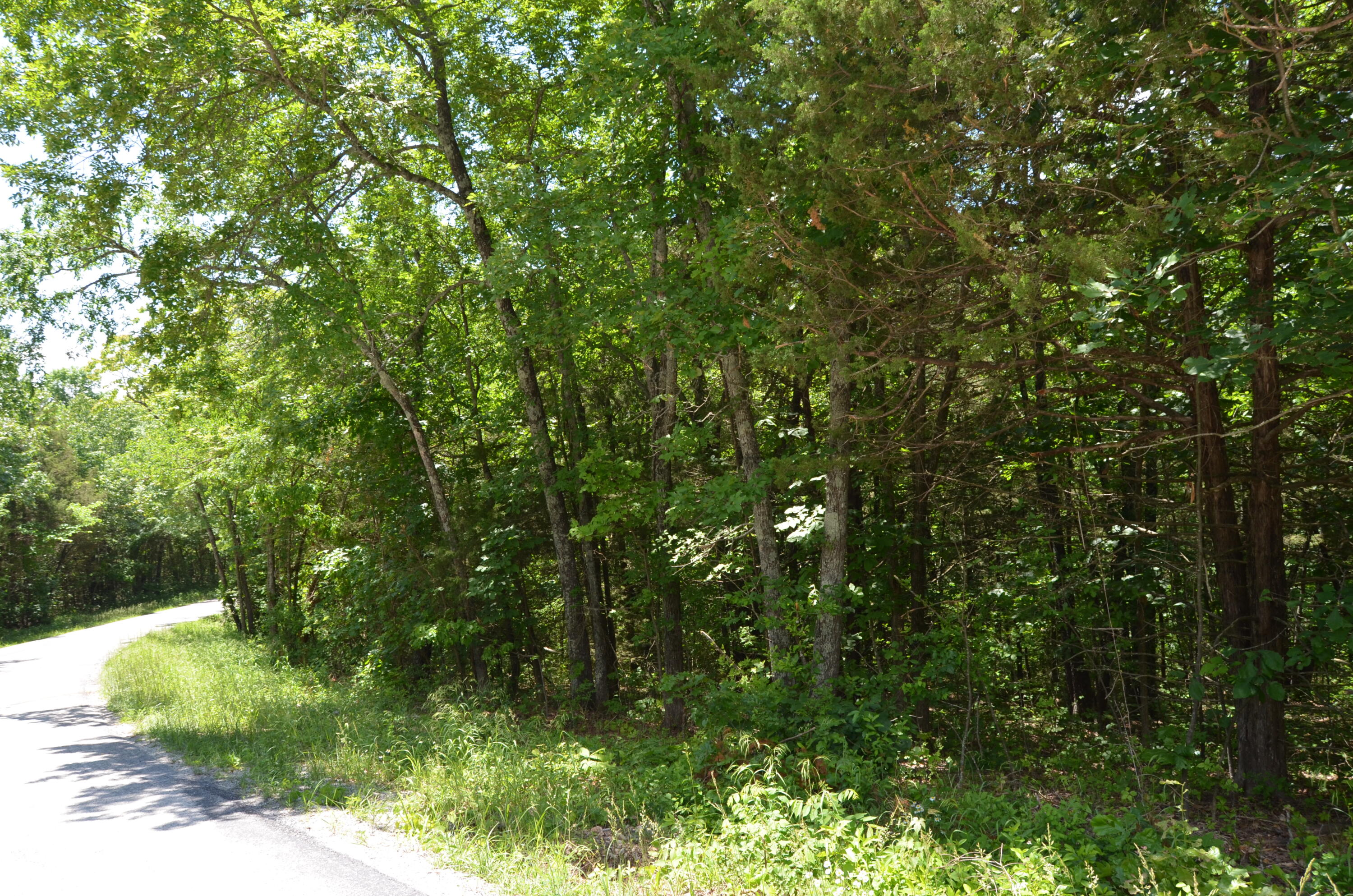 Tbd Pioneer Point Road Property Photo 21
