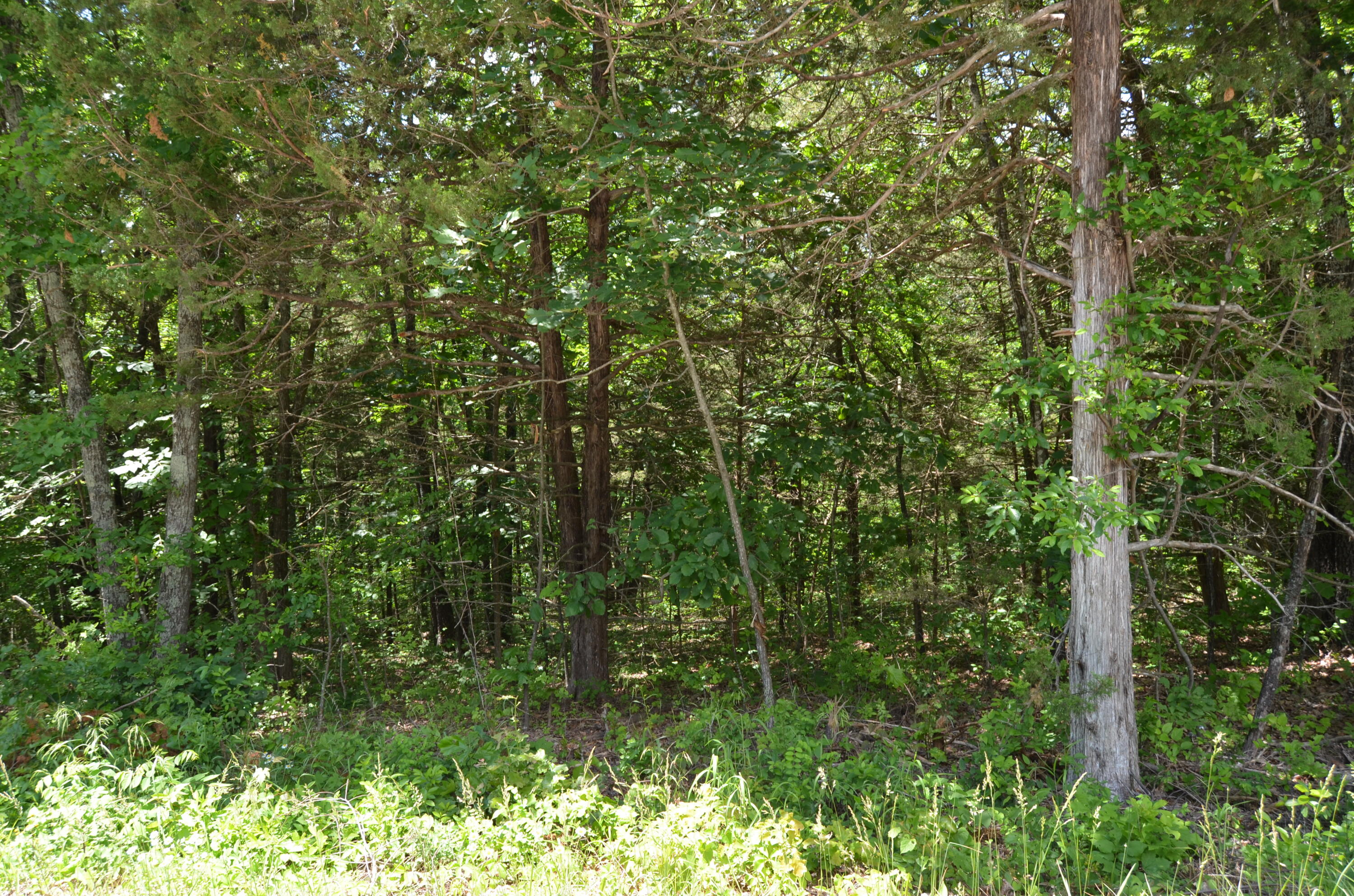 Tbd Pioneer Point Road Property Photo 22