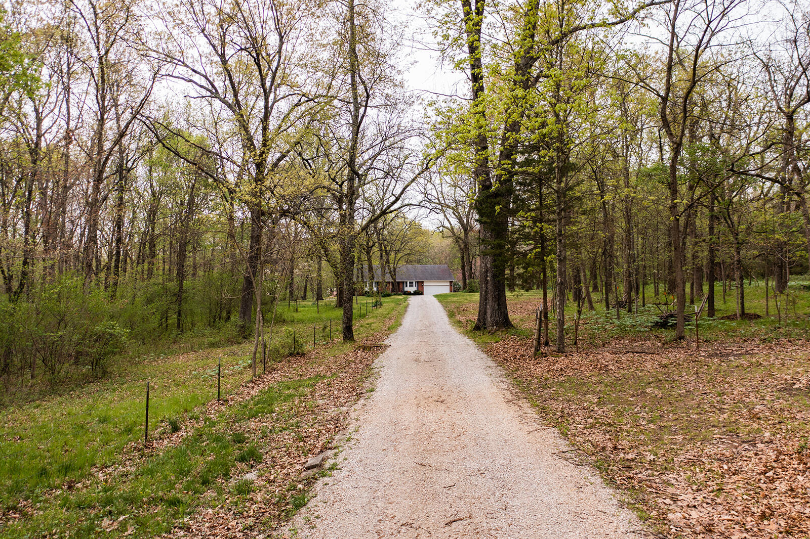5854 East Sumac Lane Property Photo 3