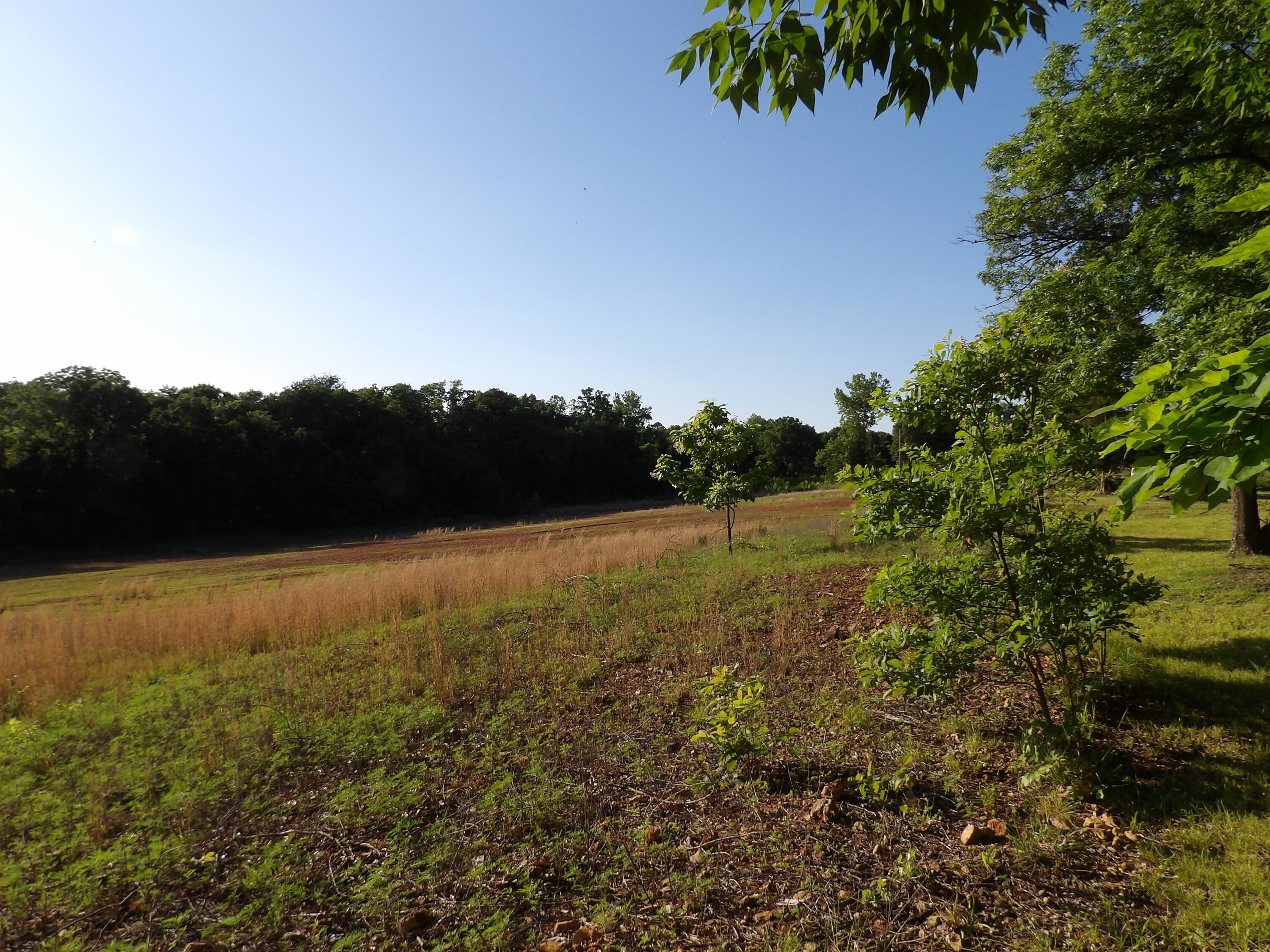 000 West Ivy Road Property Photo 1