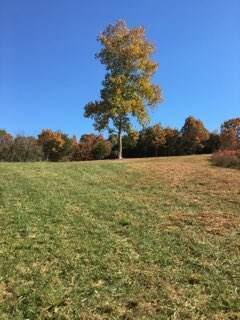 858 Kimberlin Mill Road Property Photo 33