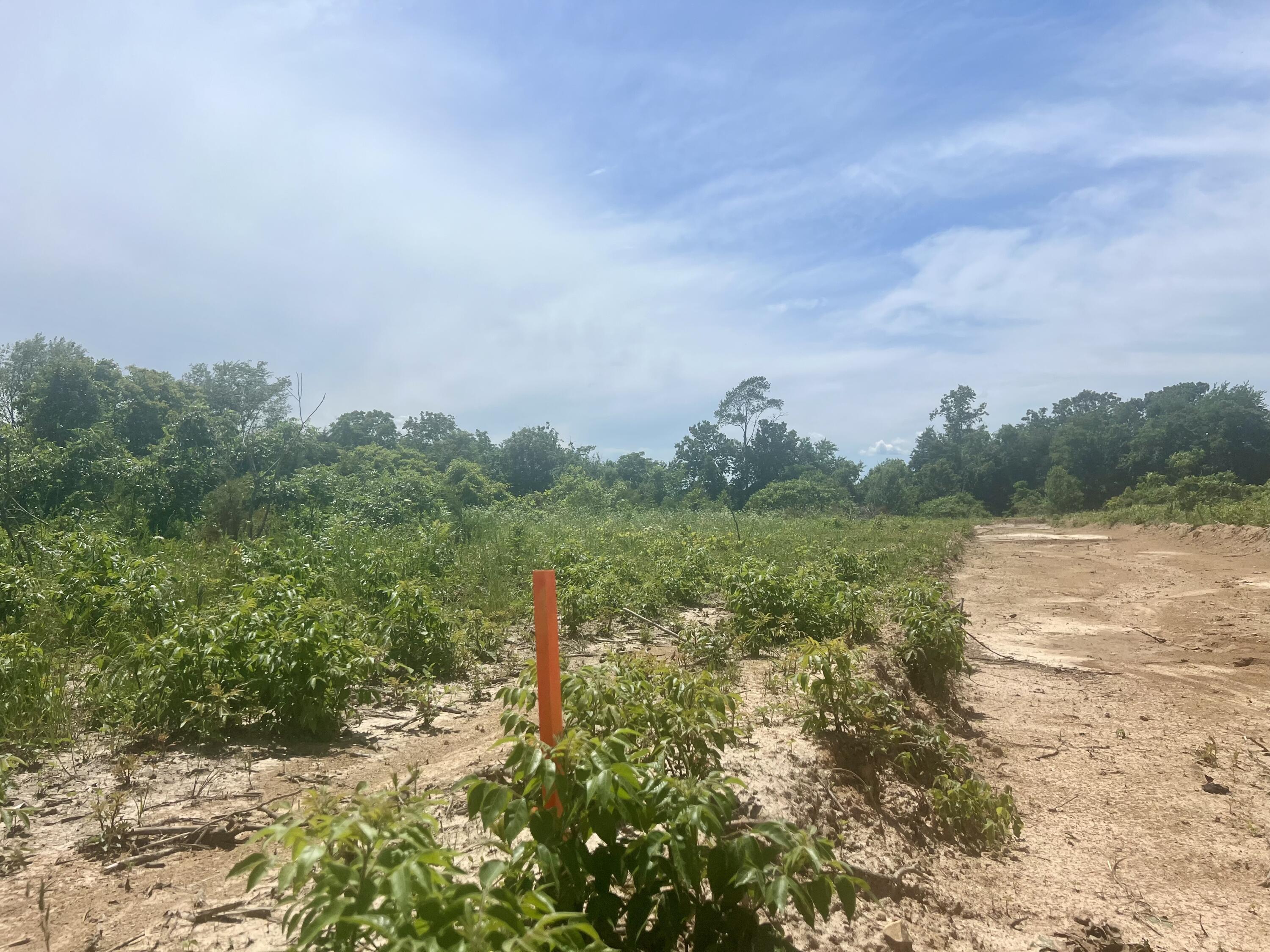 Lot 3 Highway 112 Property Photo 3