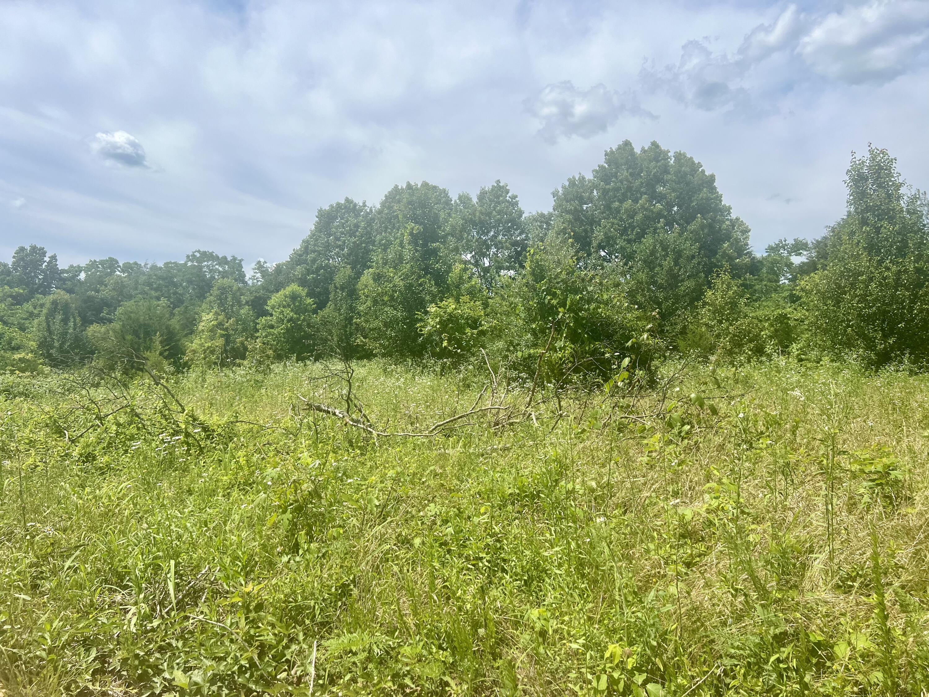 Lot 3 Highway 112 Property Photo 4