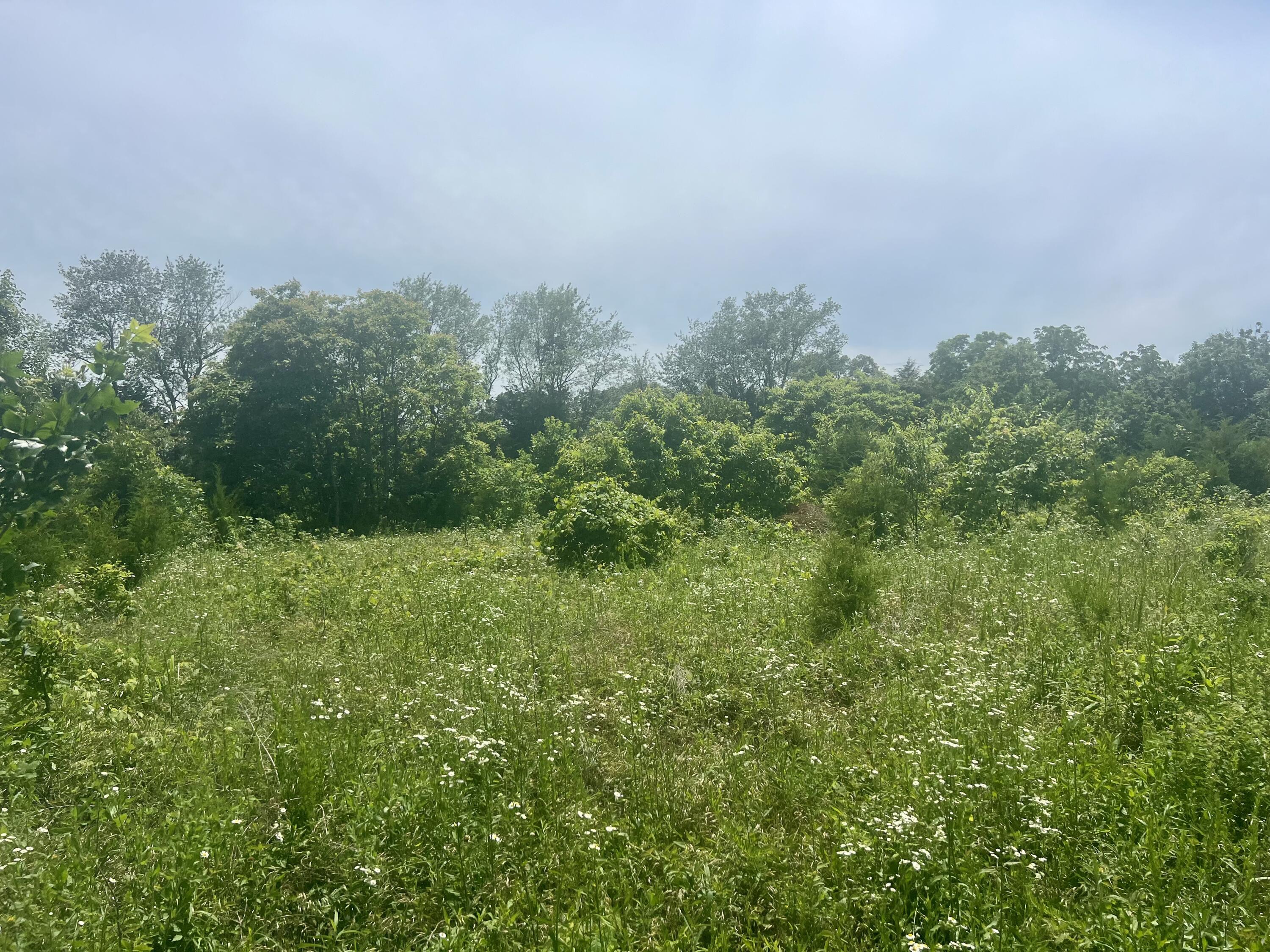 Lot 3 Highway 112 Property Photo 10