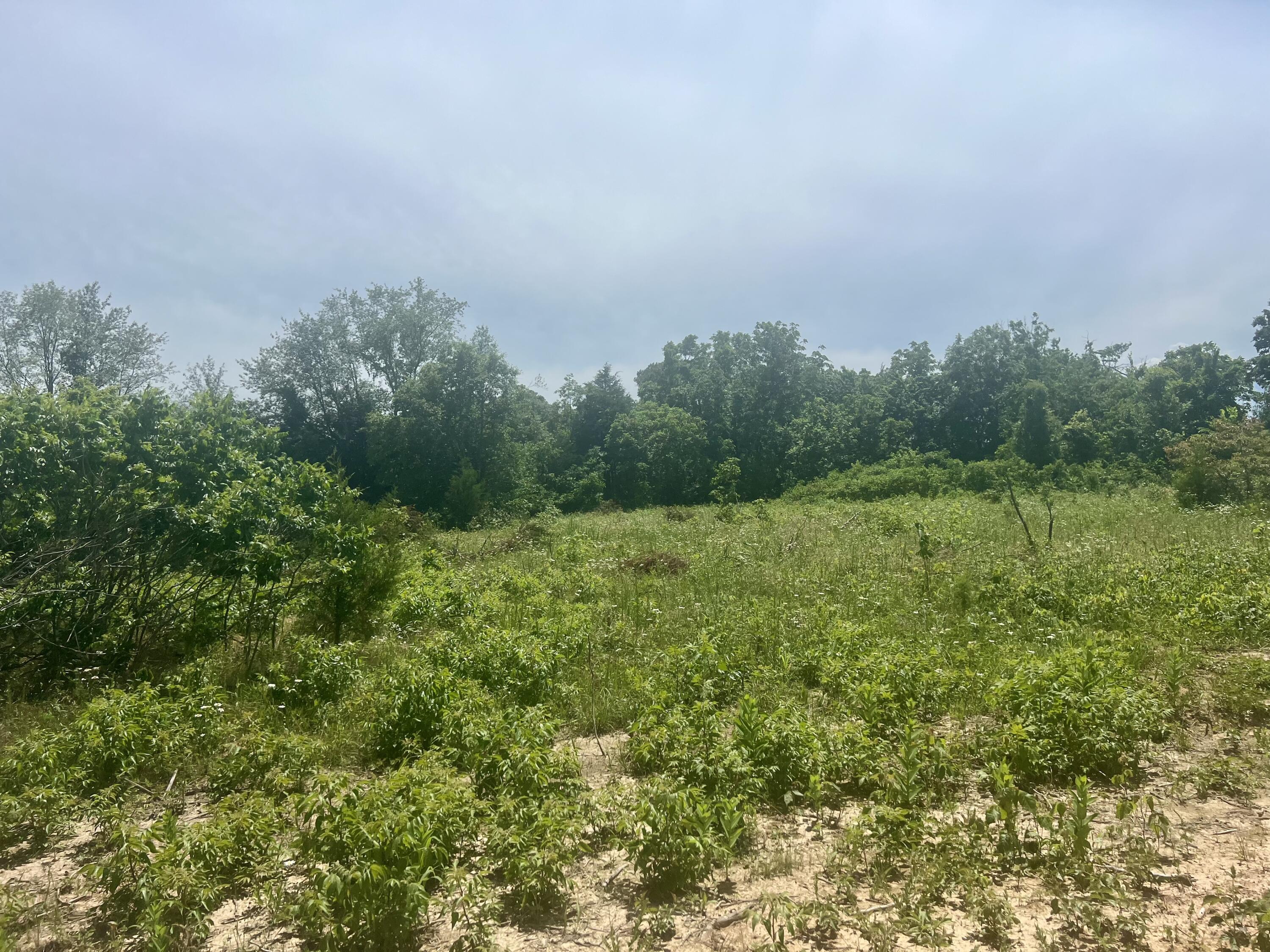 Lot 3 Highway 112 Property Photo 11