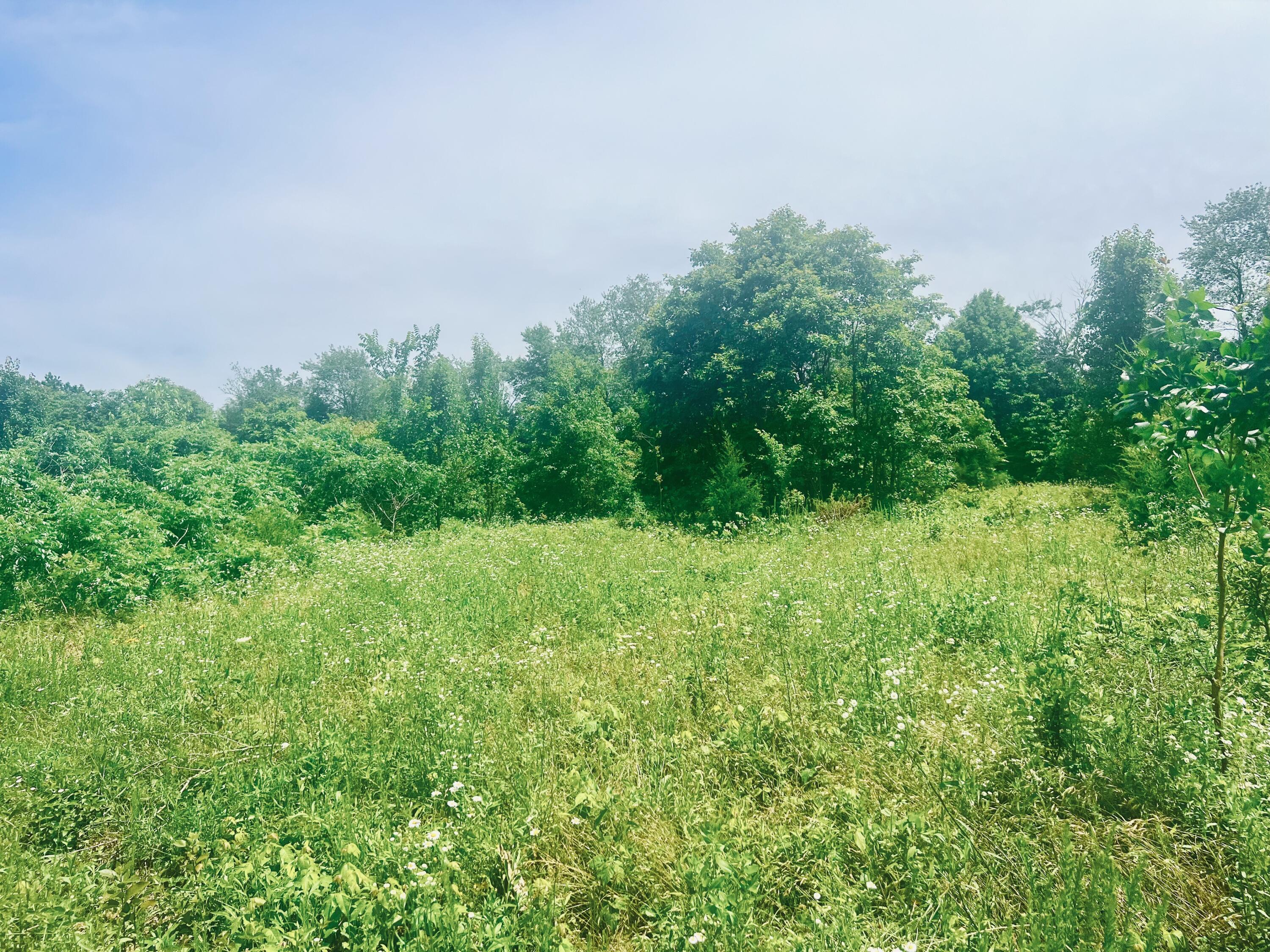 Lot 3 Highway 112 Property Photo 12