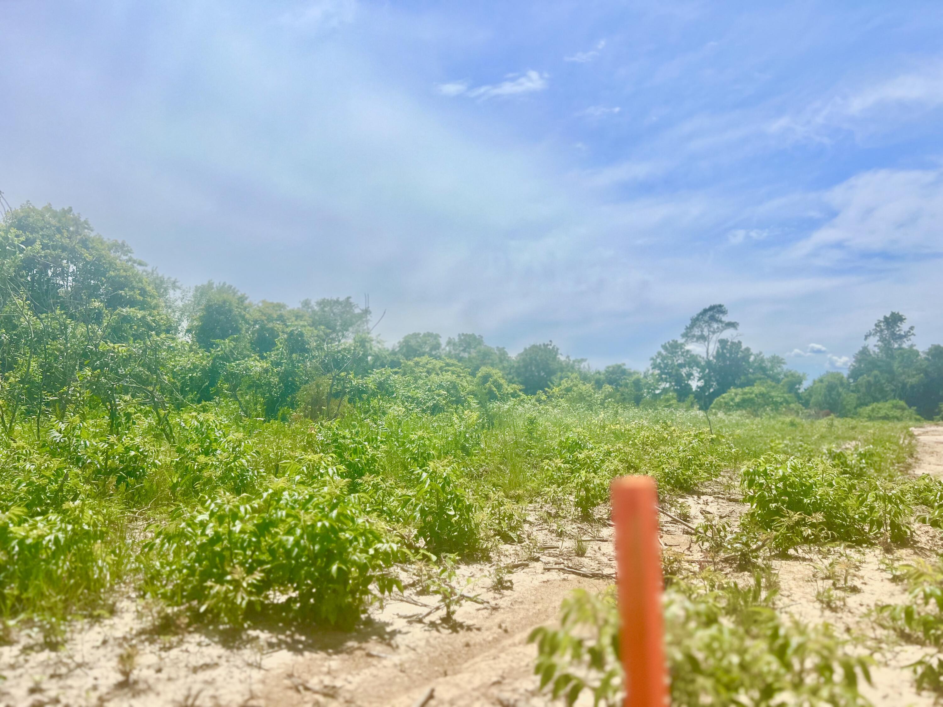 Lot 2 Highway 112 Property Photo 10