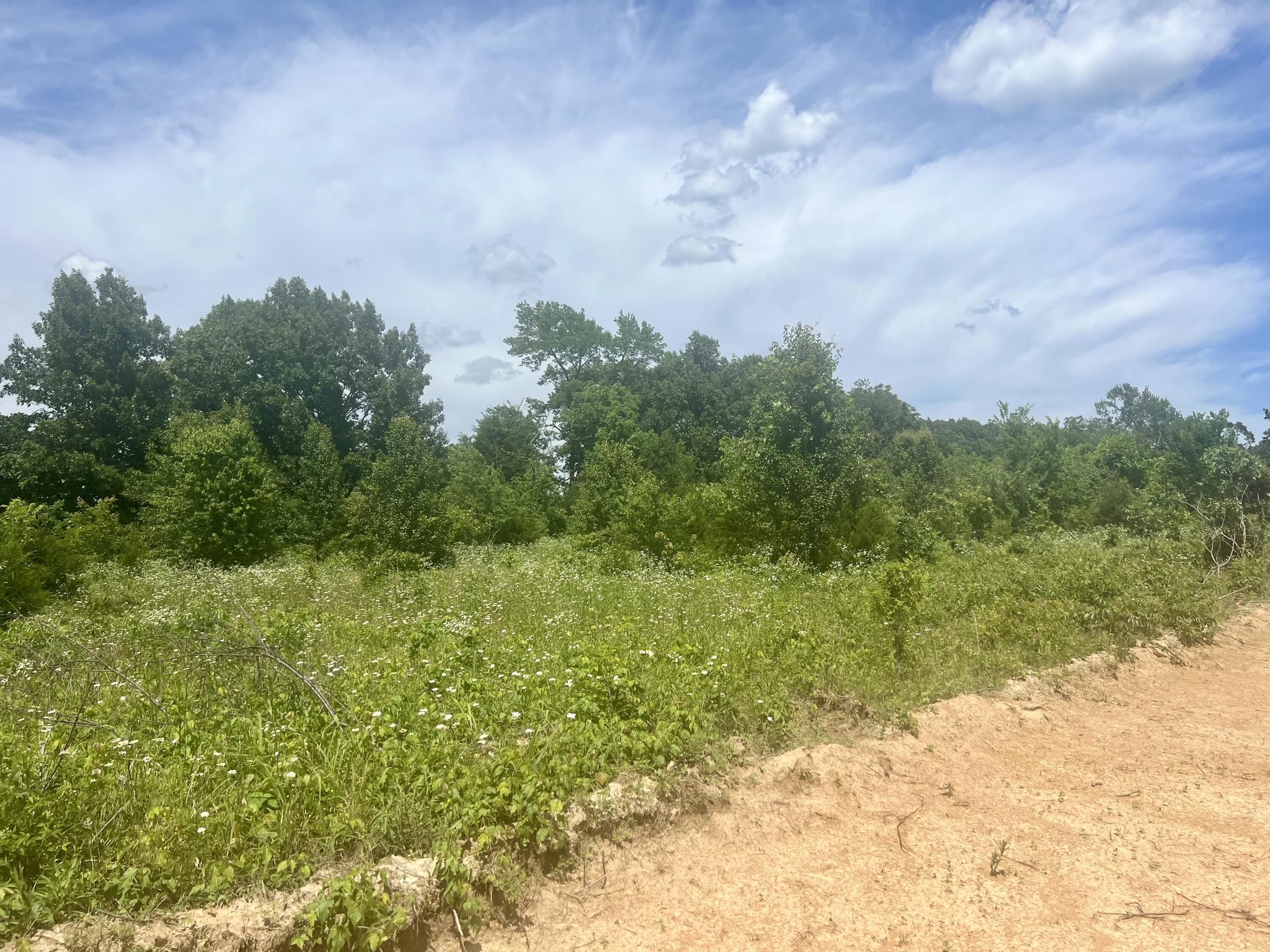 Lot 5 Highway 112 Highway Property Photo 8