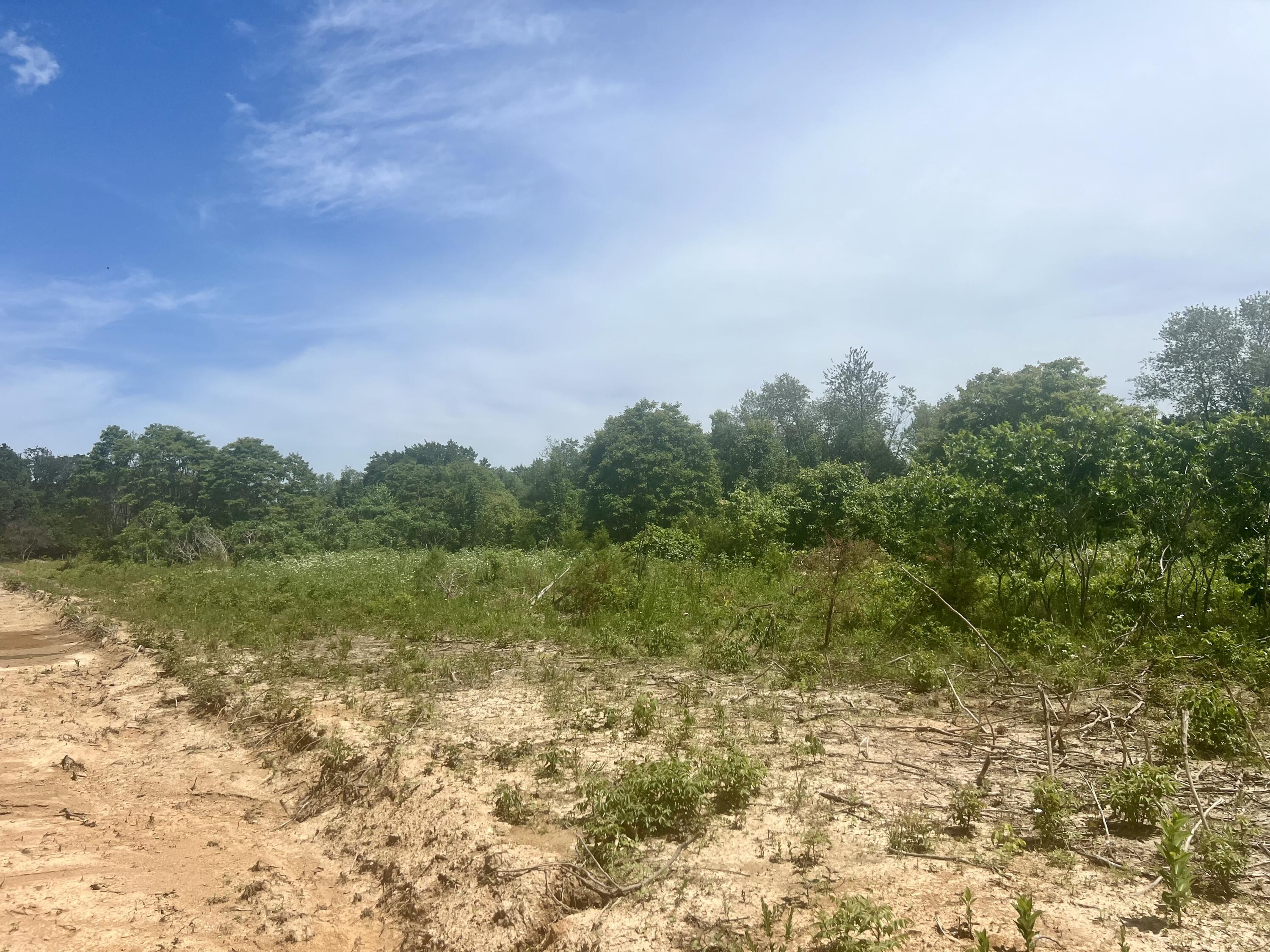 Lot 5 Highway 112 Highway Property Photo 10