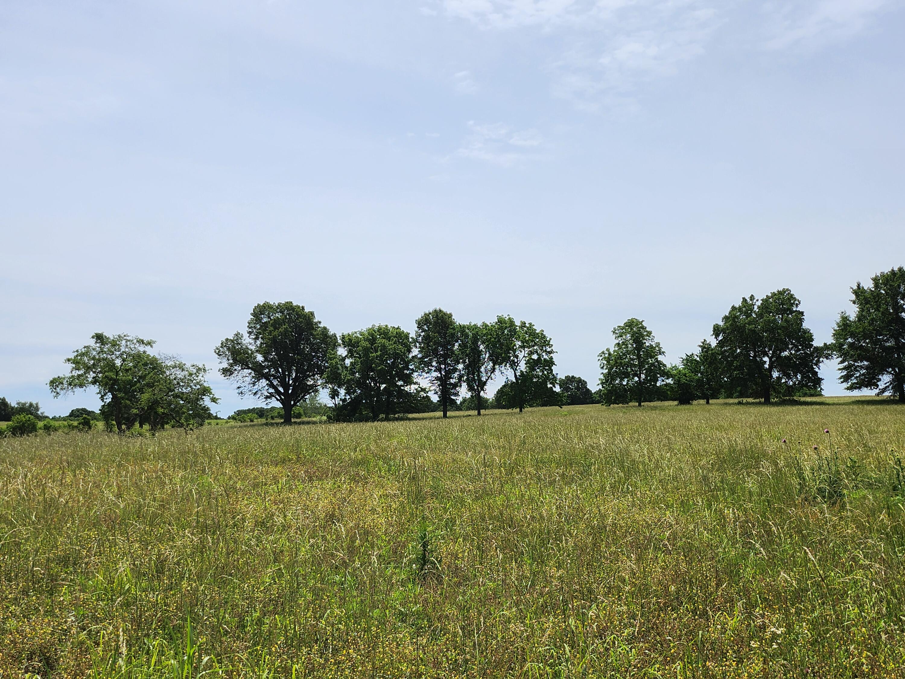Lot 11 North Farm Road 61 Property Photo 1