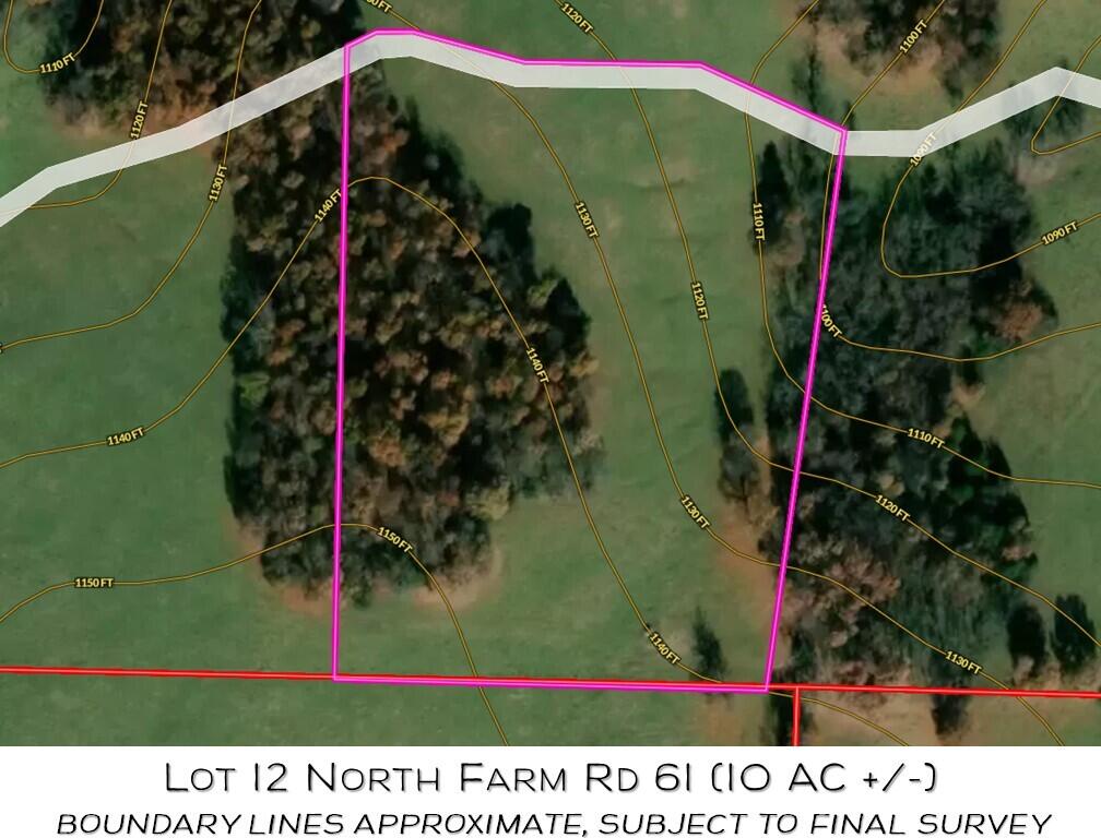 Lot 12 North Farm Road 61 Property Photo 2