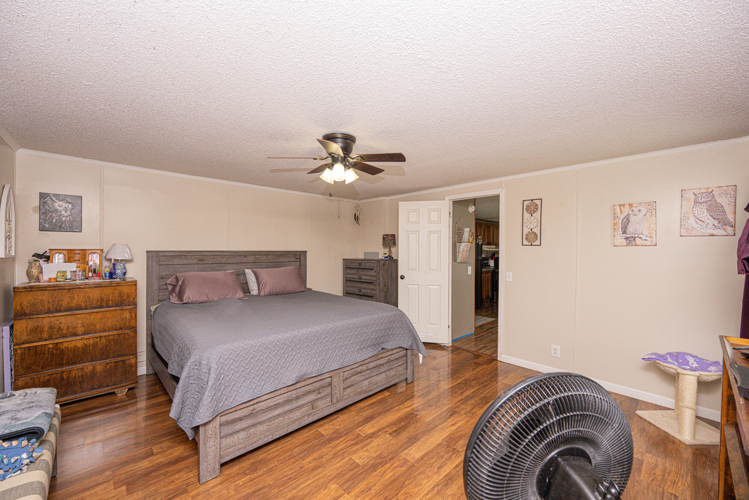 3555 Farm Road 1012 Property Photo 7