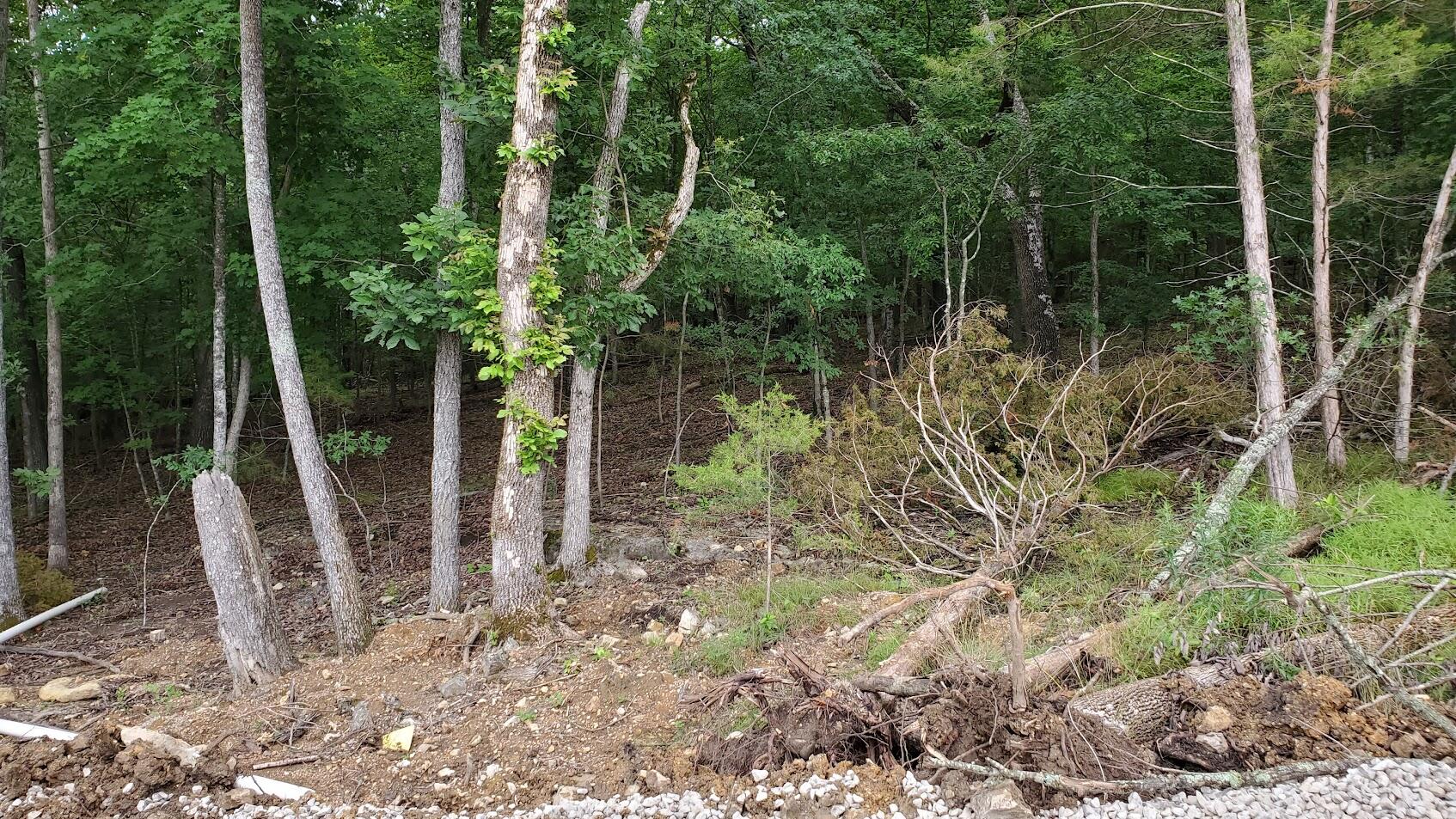 000 Lot 86 Summer Breeze Property Photo 1