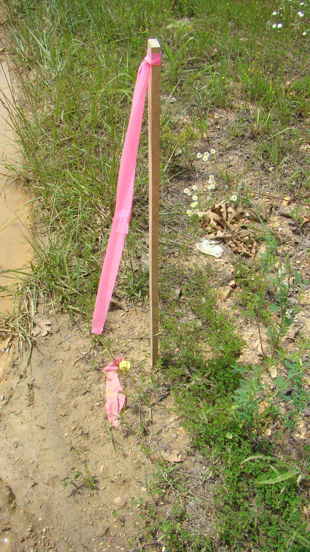 Tbd State Route Y Property Photo 2