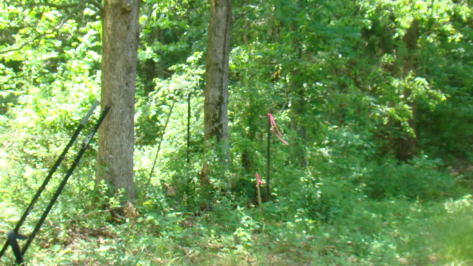 Tbd County Road 3940 Property Photo 2
